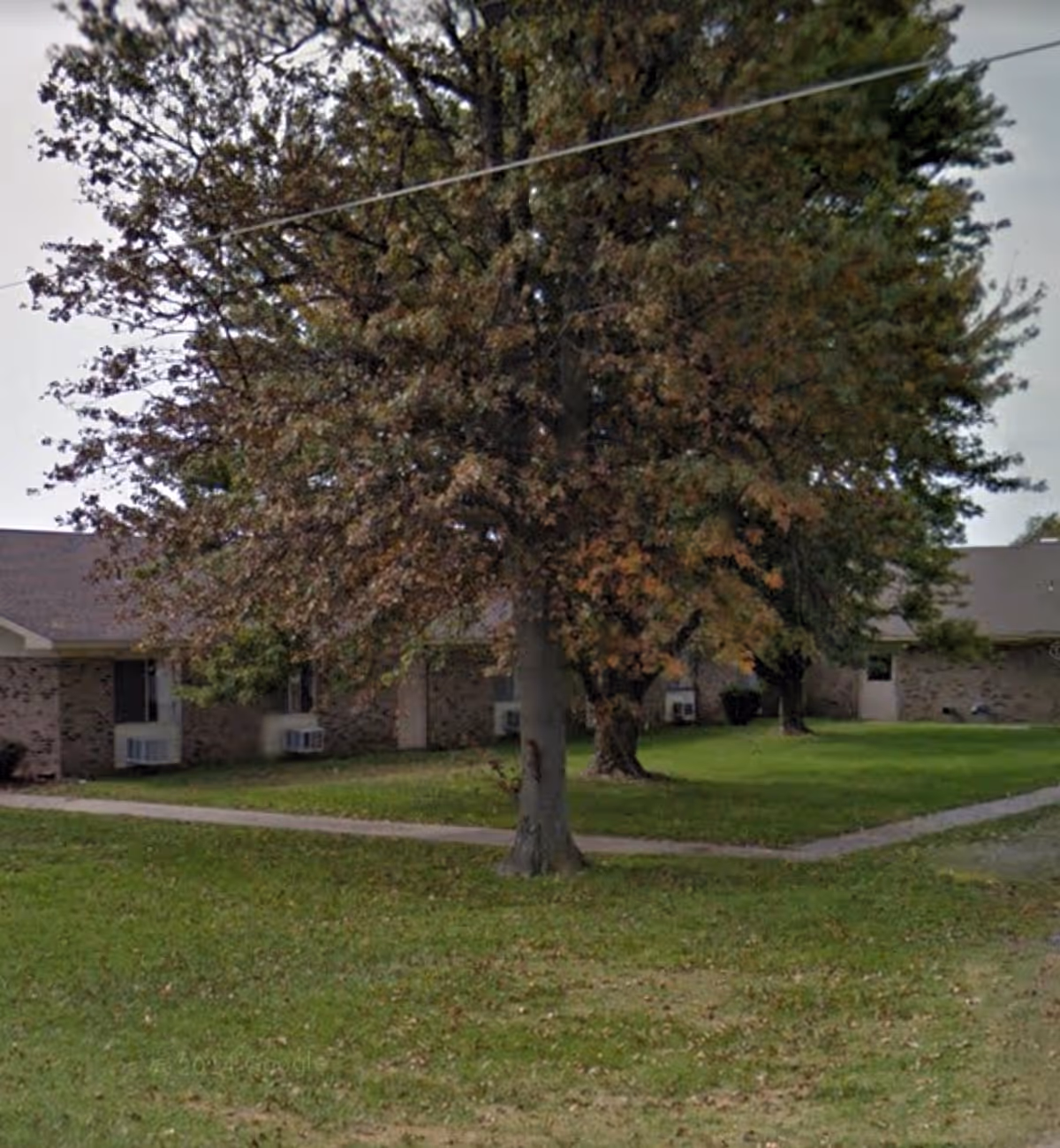 Single-story brick building with a large tree and a grassy front lawn and walkway.