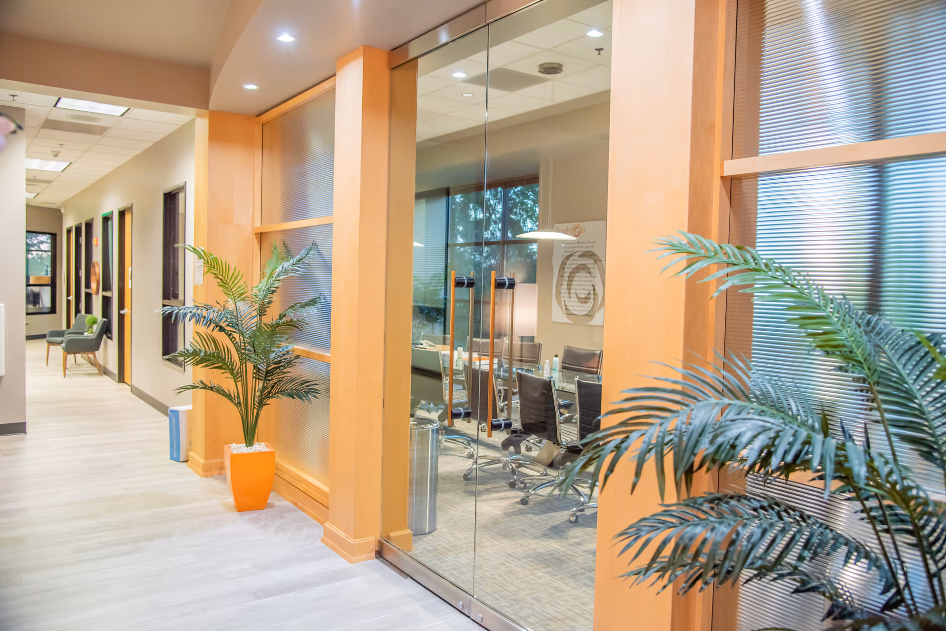 Bright hallway with glass-walled meeting room, wooden frames, and potted plants along corridor.