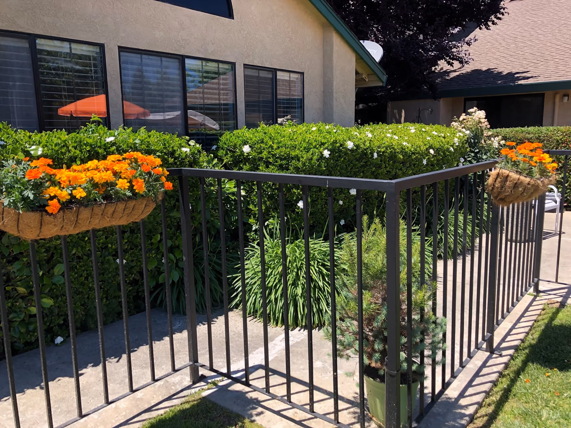 Outdoor patio area at a retirement community with black metal railing adorned with hanging baskets of orange flowers. Behind the railing are green bushes and windows of a building with beige walls and a brown roof. There is a small potted plant near the railing and an orange patio umbrella reflected in the window.