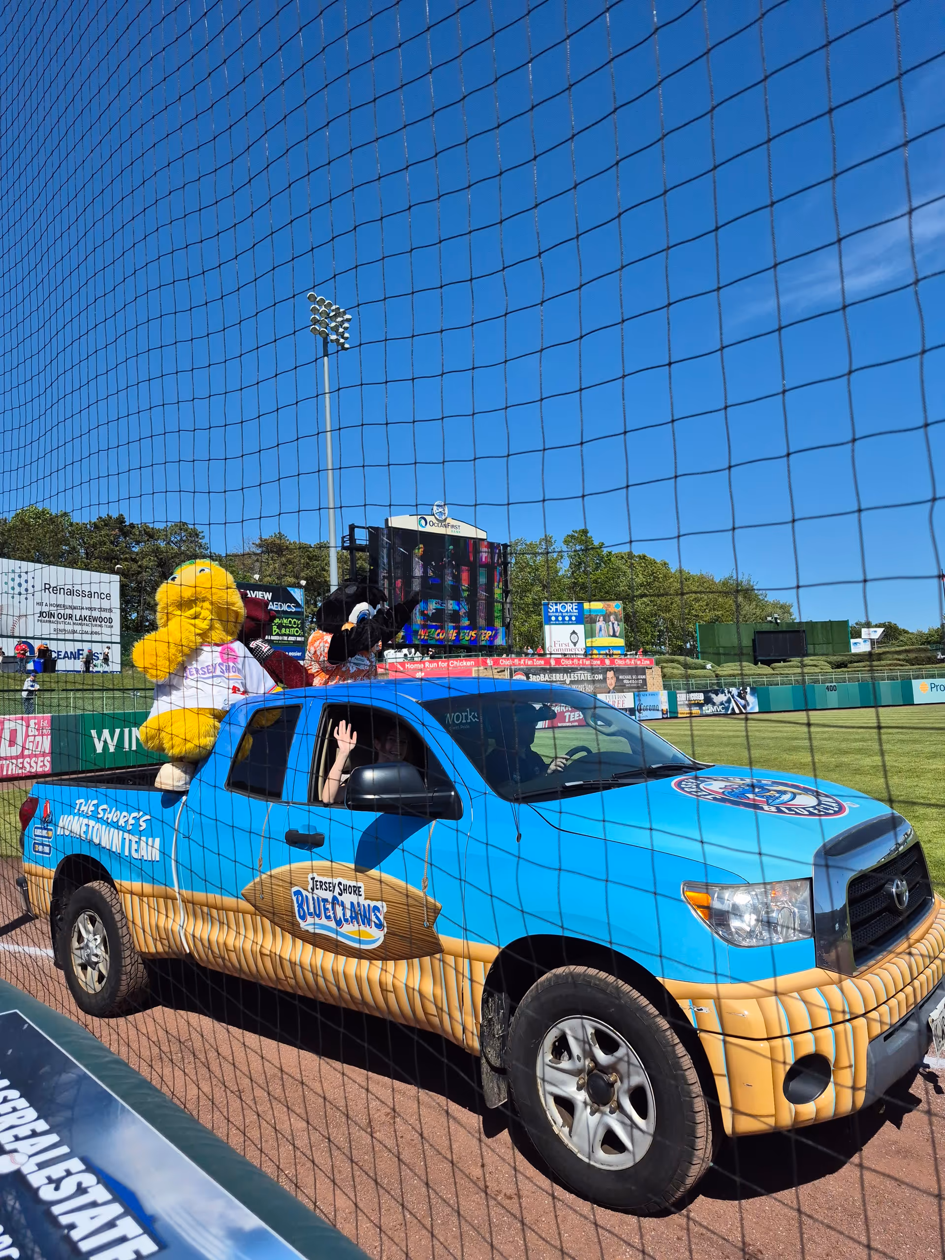 Blue pickup decorated as a parade float with a yellow bear on a baseball field.