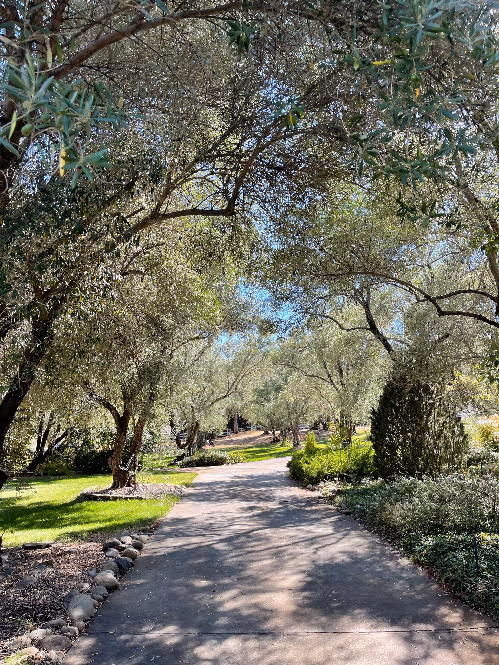 Shaded paved pathway lined with trees and landscaped greenery in a park-like outdoor area.