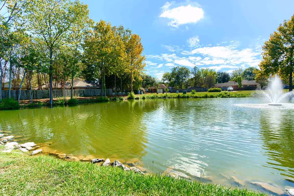 Landscaped pond with a fountain, grassy shoreline, trees and nearby houses under a blue sky.