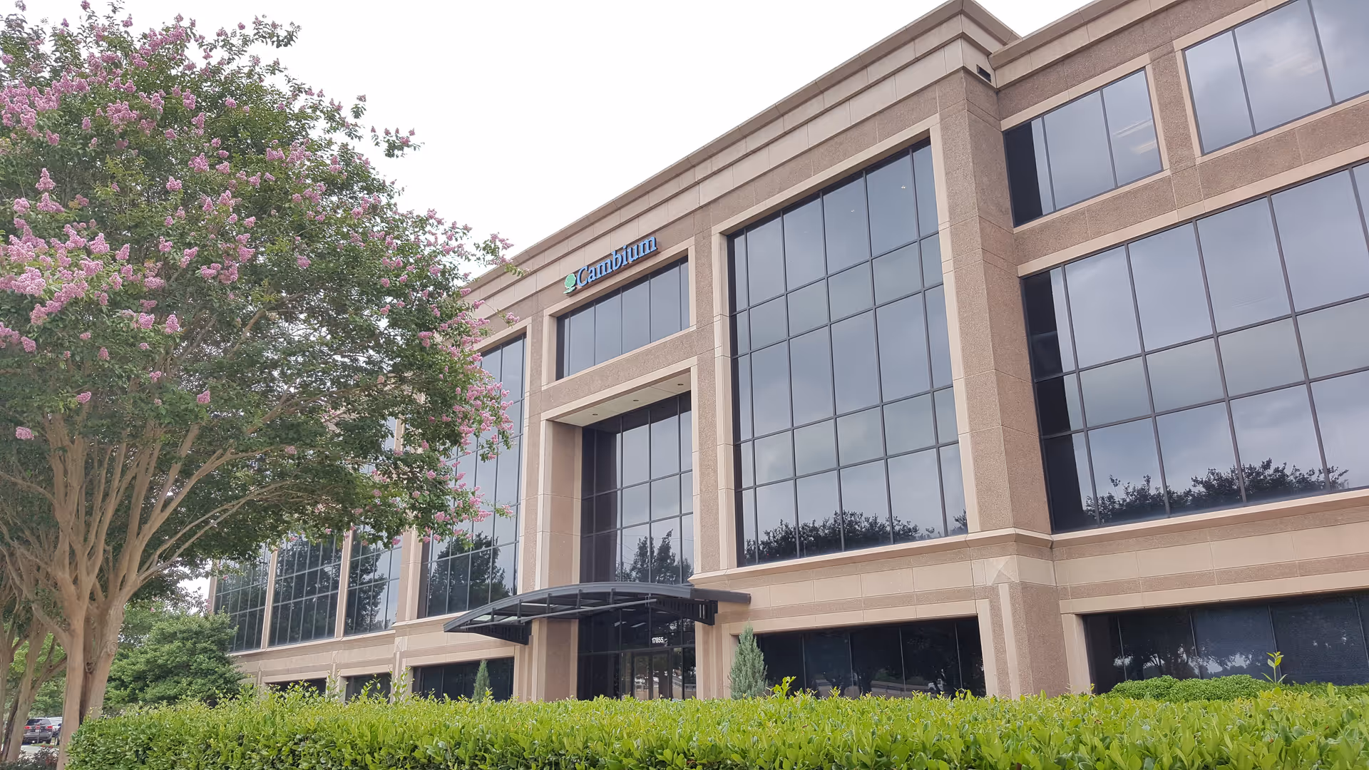 Modern AccentCare facility with large glass windows and a flowering tree in front.