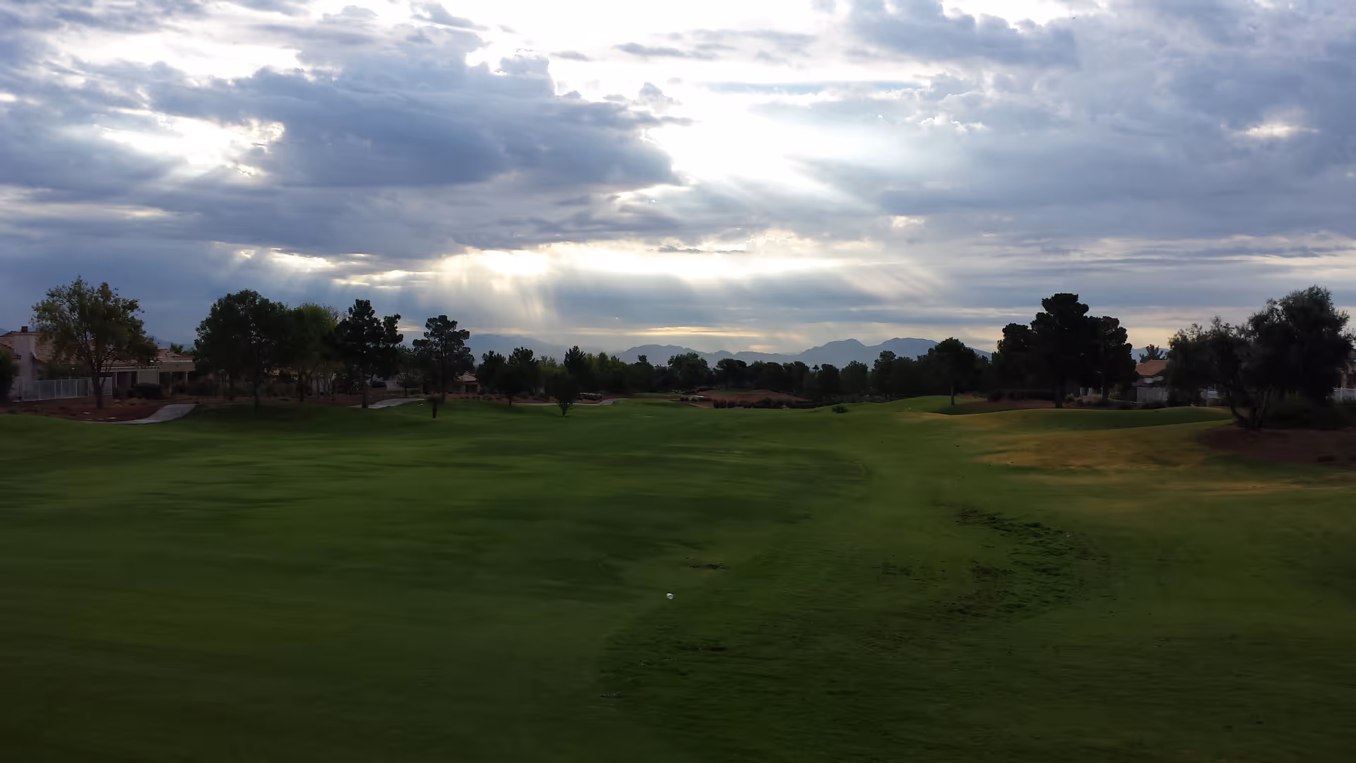 Open grassy senior living grounds with trees and distant buildings under a cloudy sky.