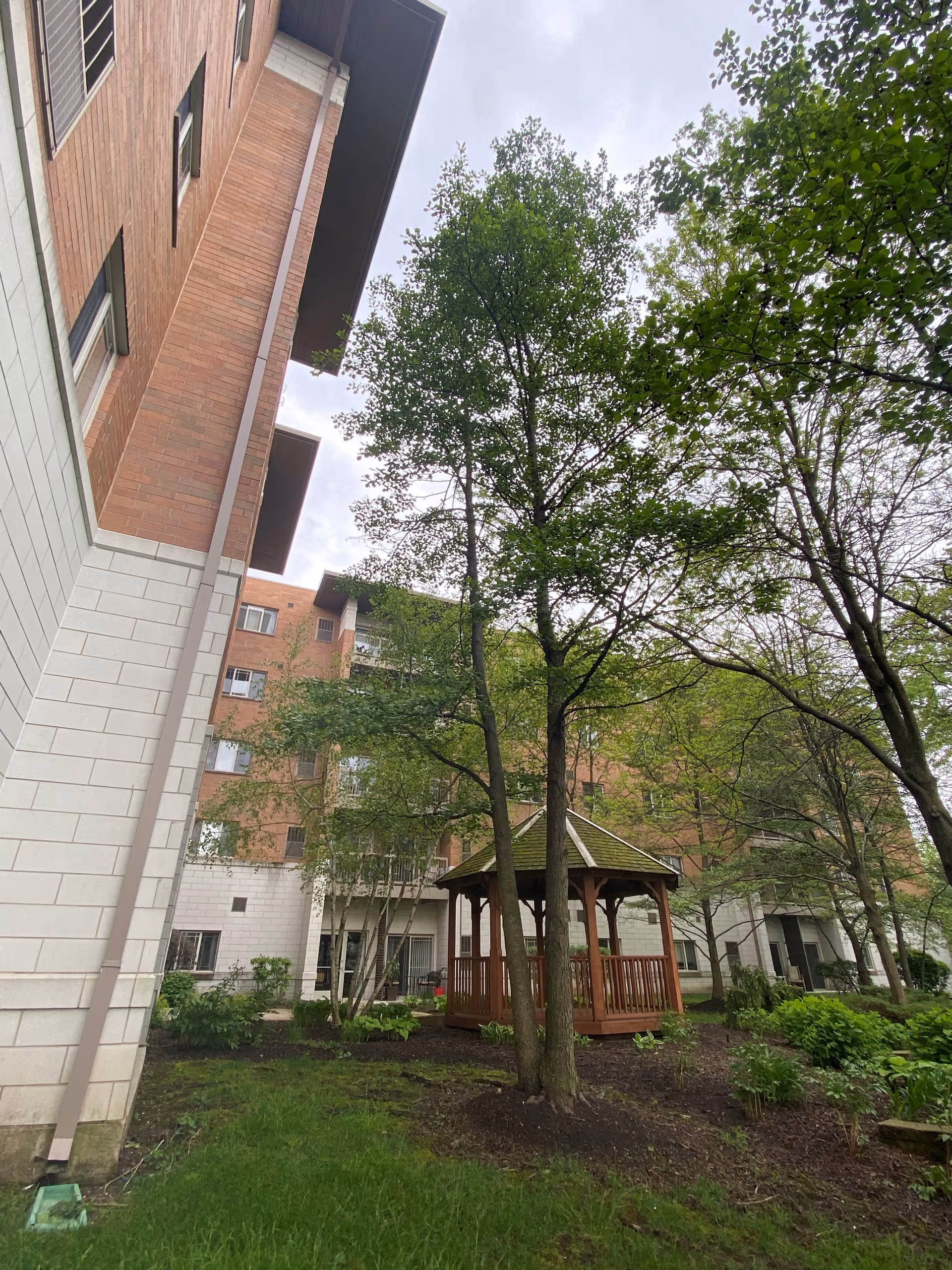 An outdoor courtyard with a wooden gazebo surrounded by trees and residential buildings.
