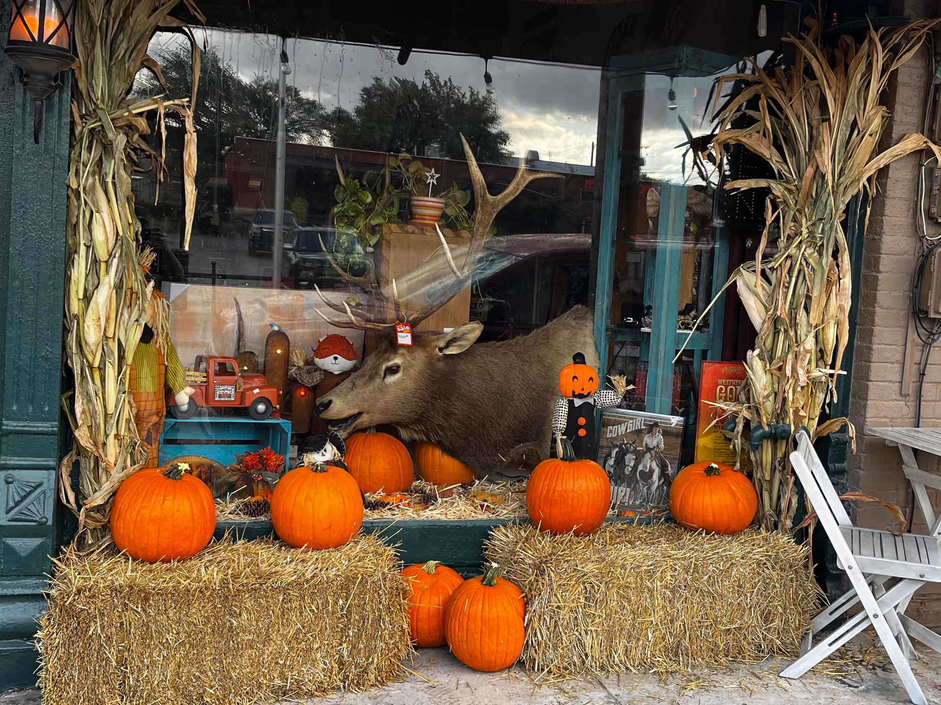 Storefront window display with pumpkins, hay bales, cornstalks, and a deer figure.