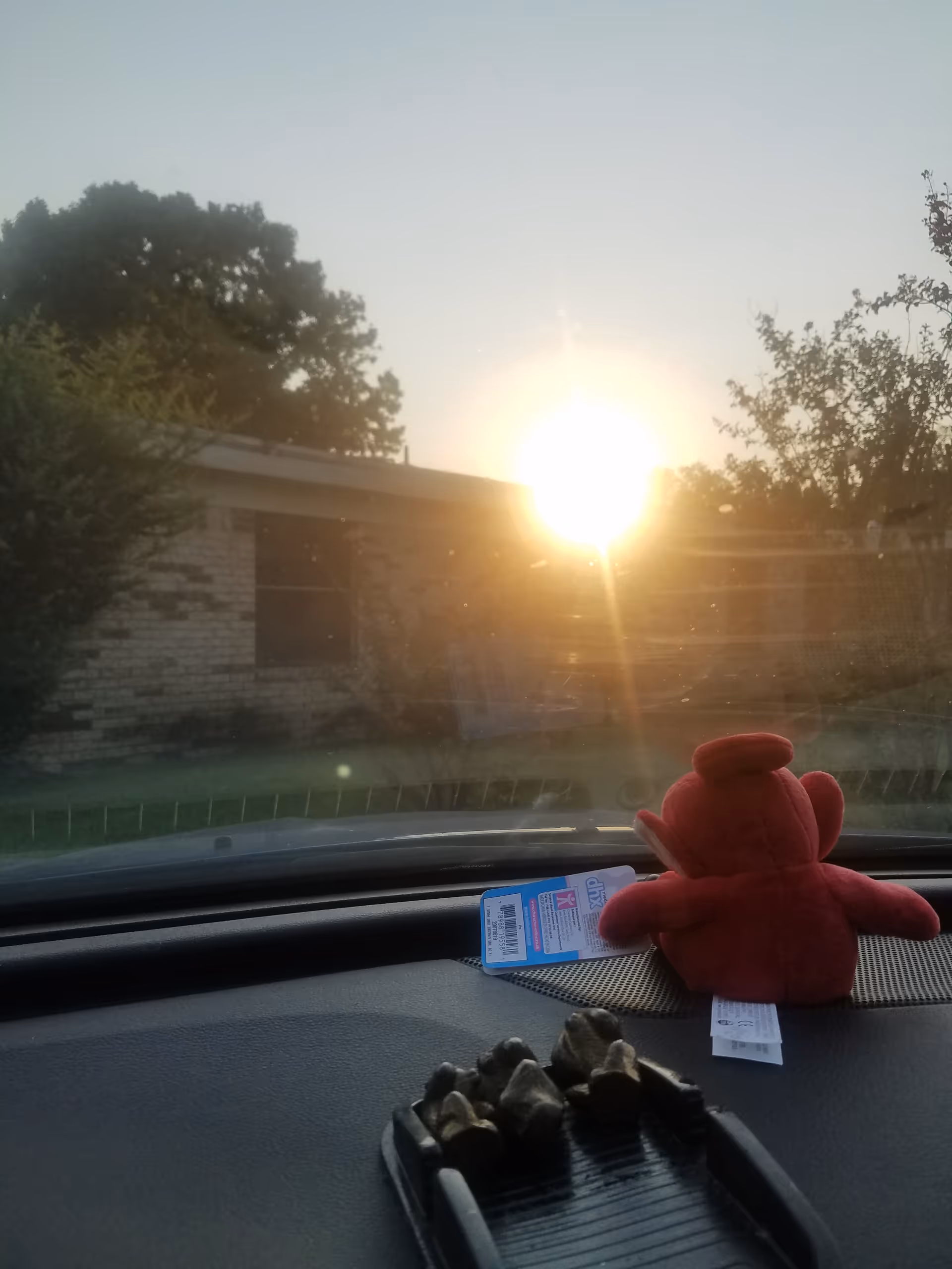 Sun glare over brick building seen from car dashboard with a red plush toy.