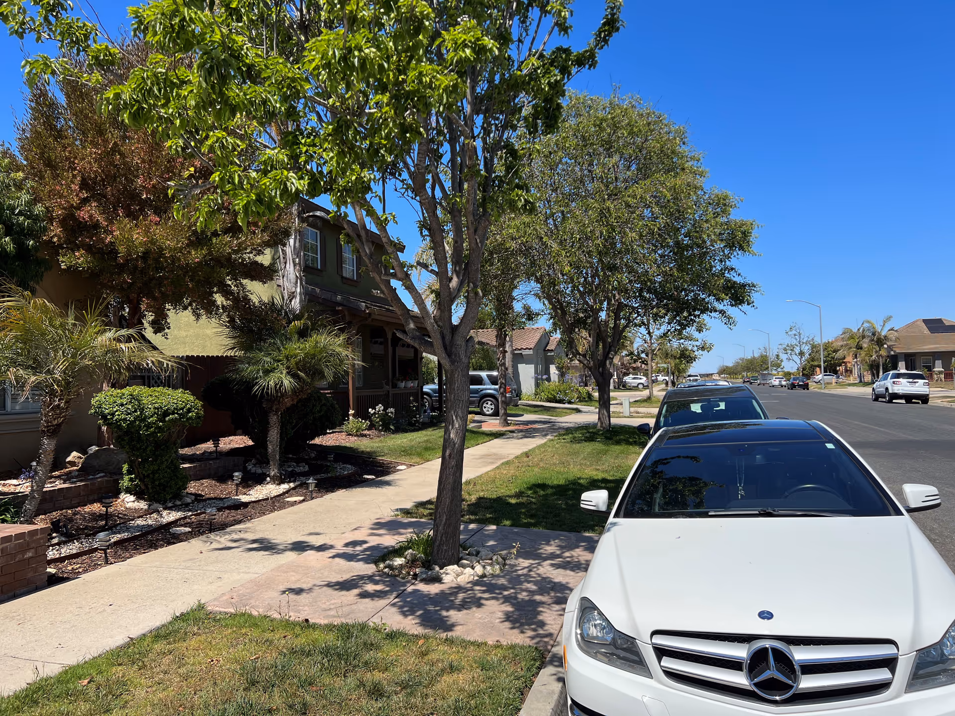 Exterior of Villa-Care Home IV with trees and a white car parked on the street.