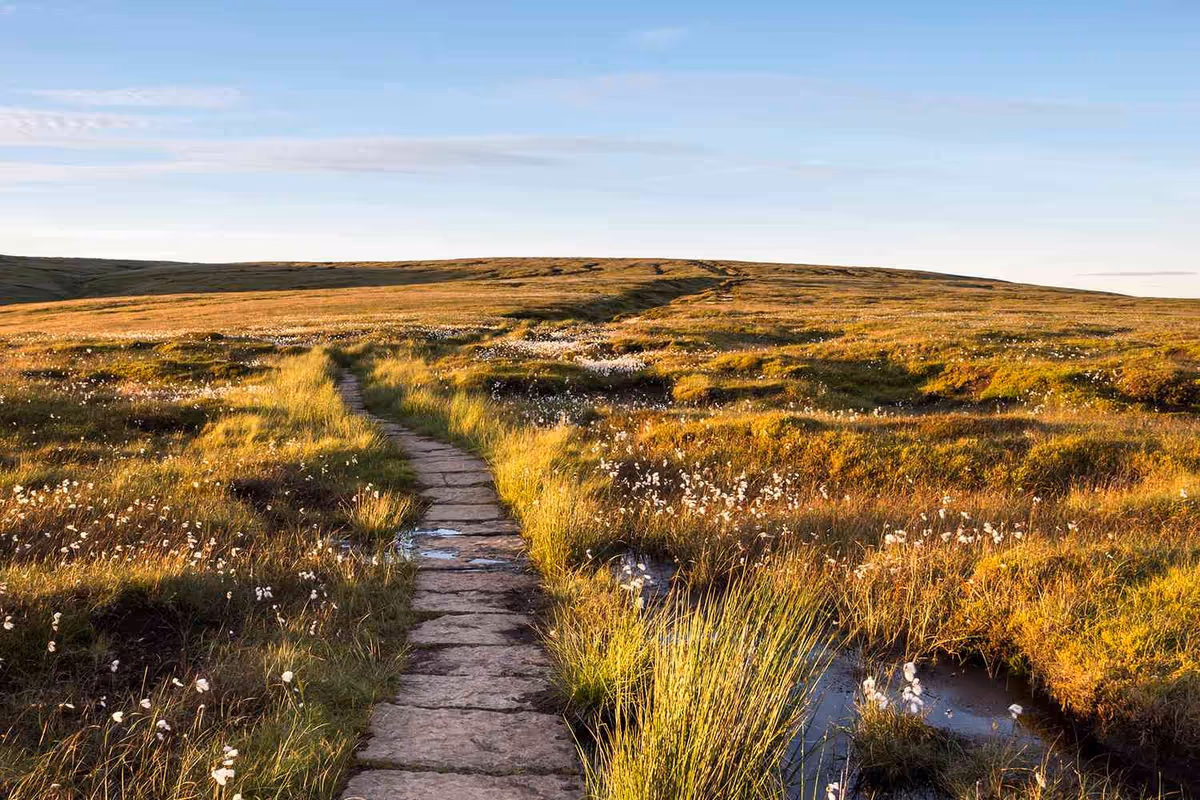 Stone path winds through golden grasses across a wide open moor under blue sky.