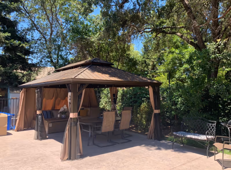 Brown gazebo with curtains and patio dining chairs under trees on a sunny patio.