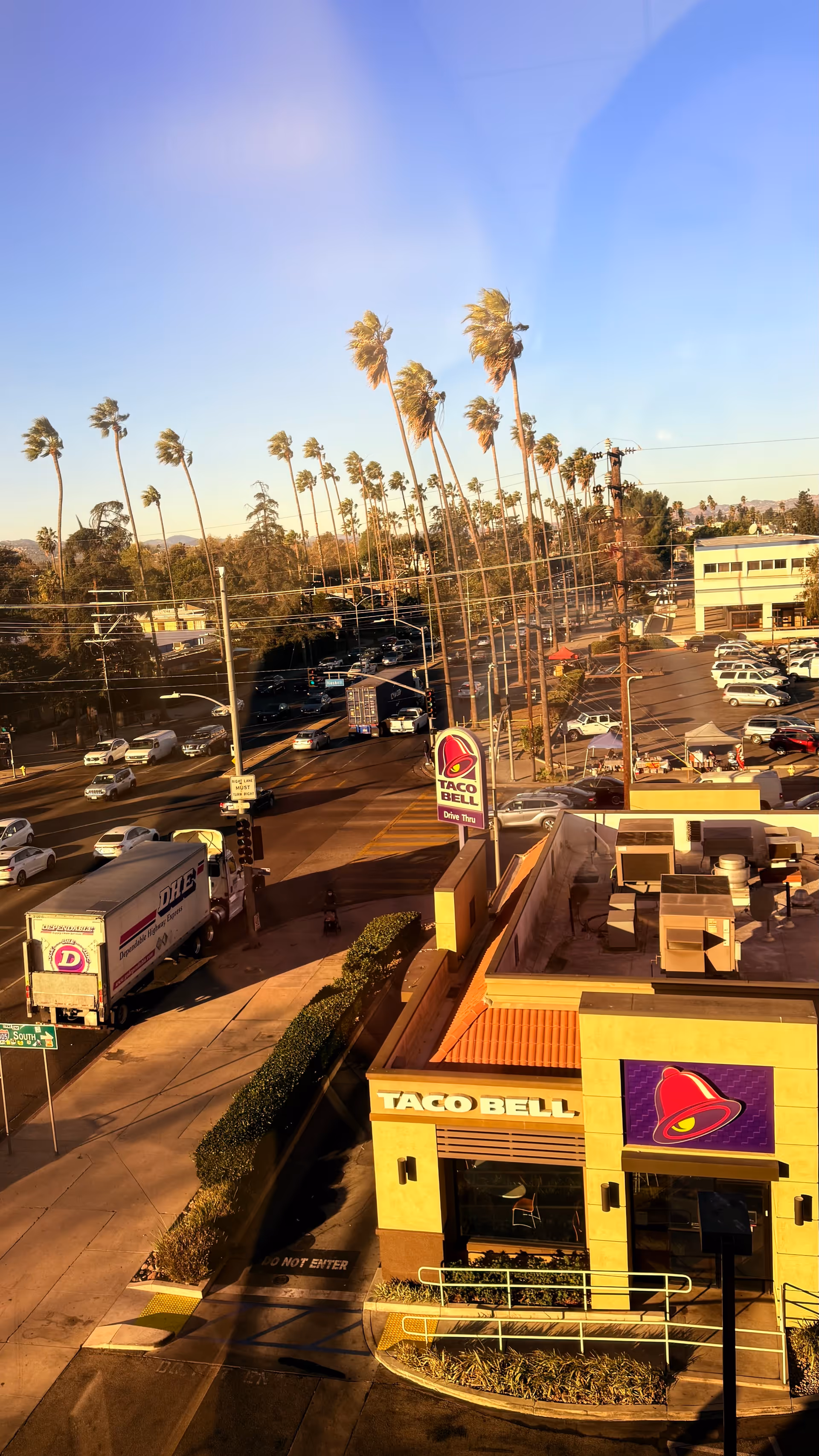 Sunny exterior view of a Taco Bell with palm trees and a parking lot.