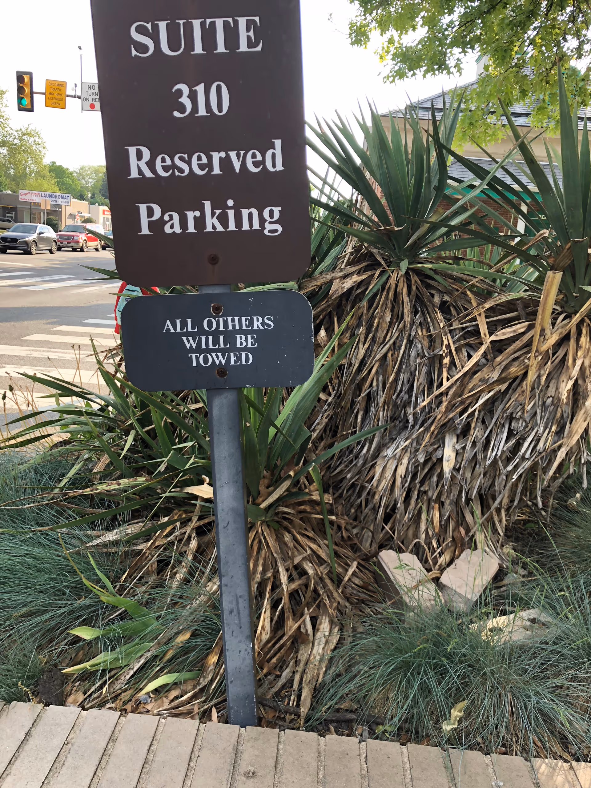 Sign reads 'Suite 310 Reserved Parking' beside tall desert plants and curb.