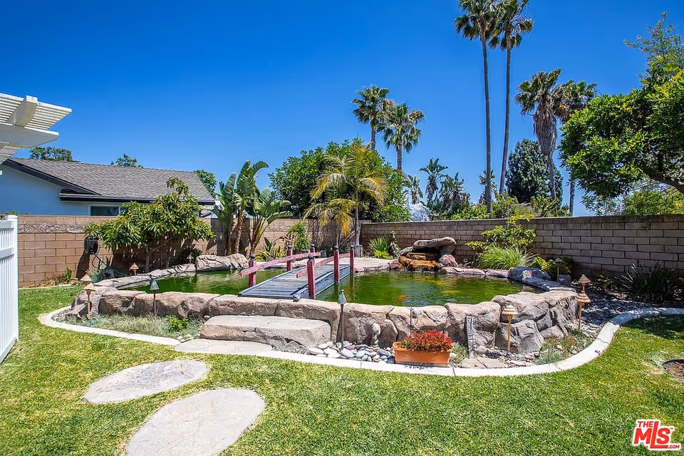Outdoor backyard featuring a koi pond, rocks, and tall palm trees.