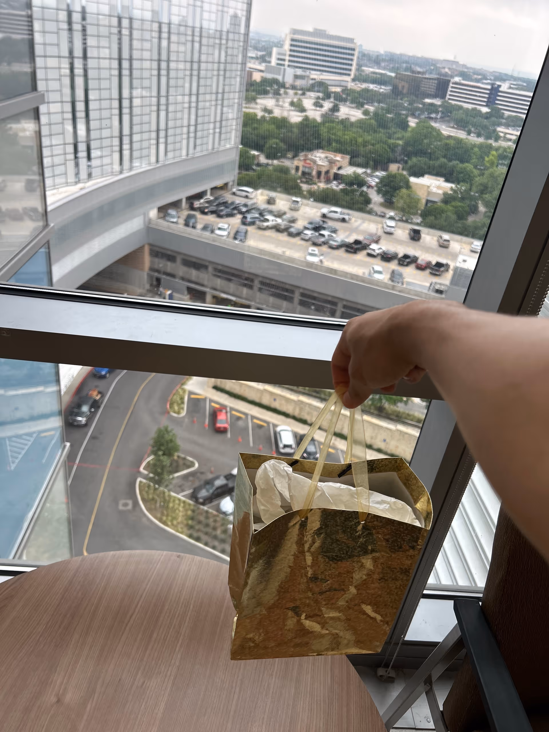 A person’s hand holds a brown paper bag with tissue by a window overlooking parking lot.