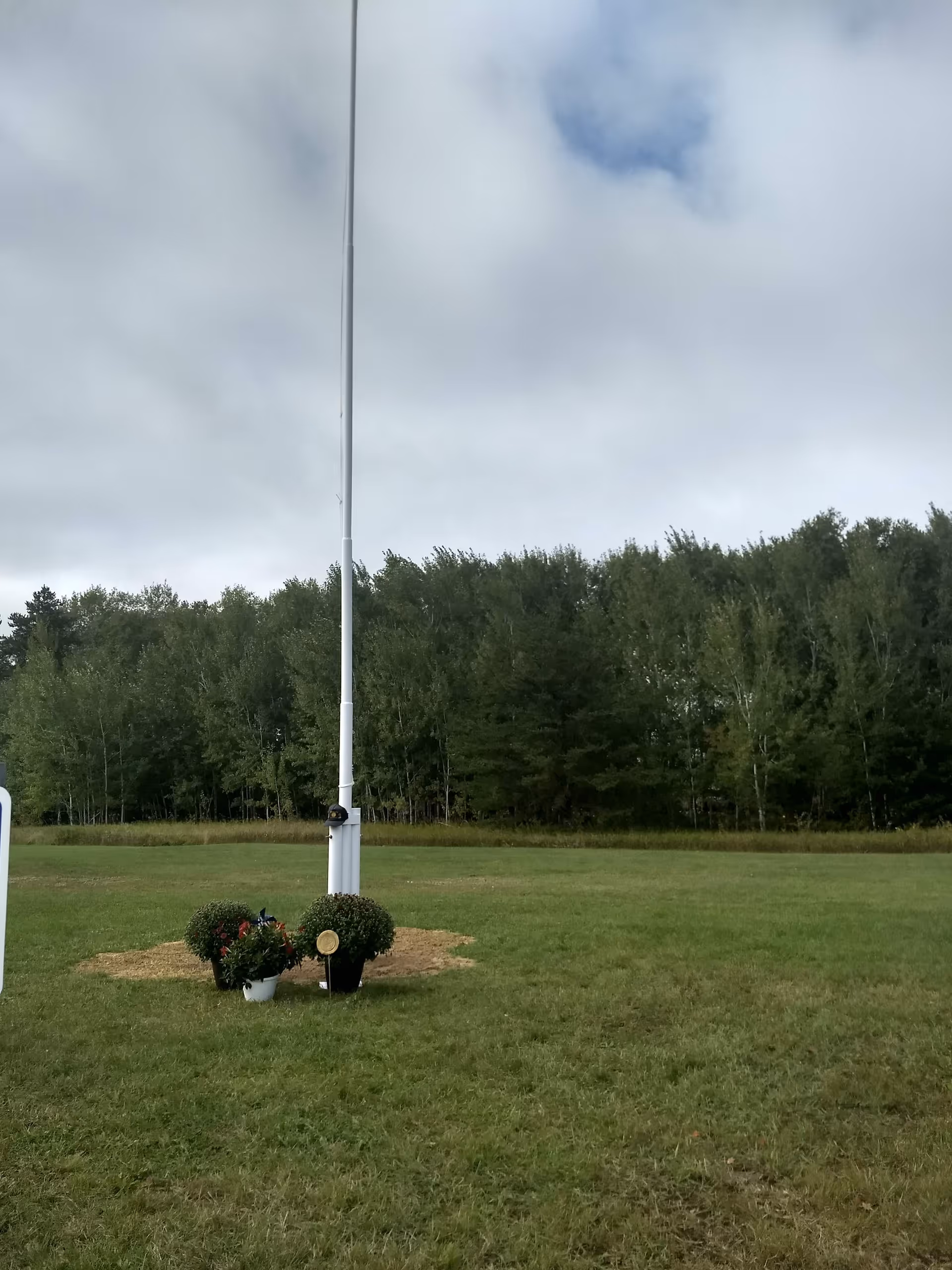 Open grassy area with a tall flagpole and potted bushes.