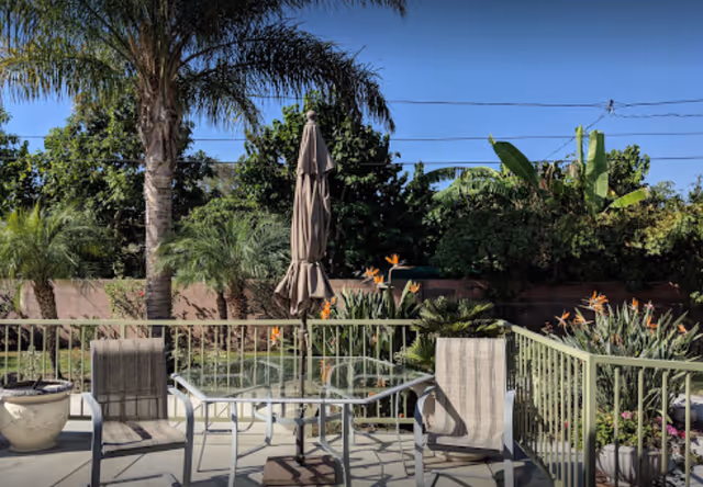 Sunny outdoor patio with glass table, chairs, umbrella, and tropical plants.