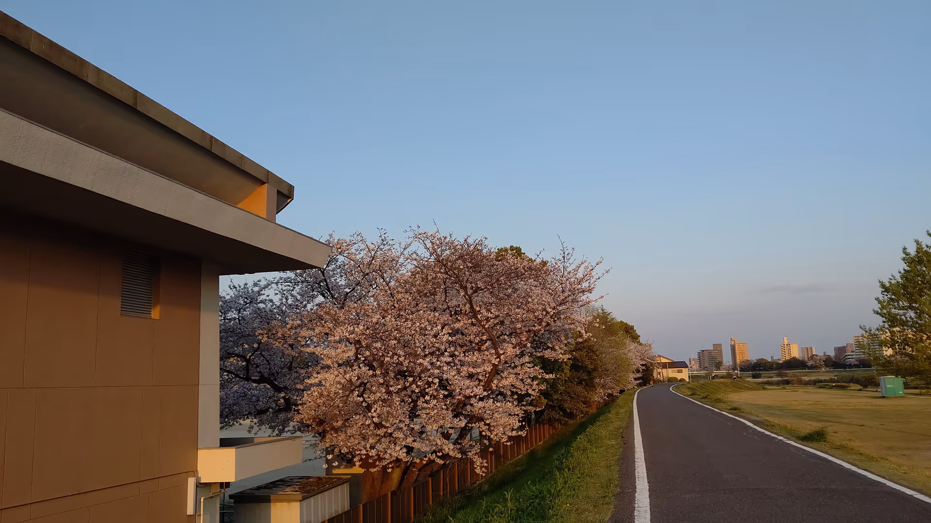 Exterior view of Martha and Mary Health Service with paved path, blooming trees, and clear sky.