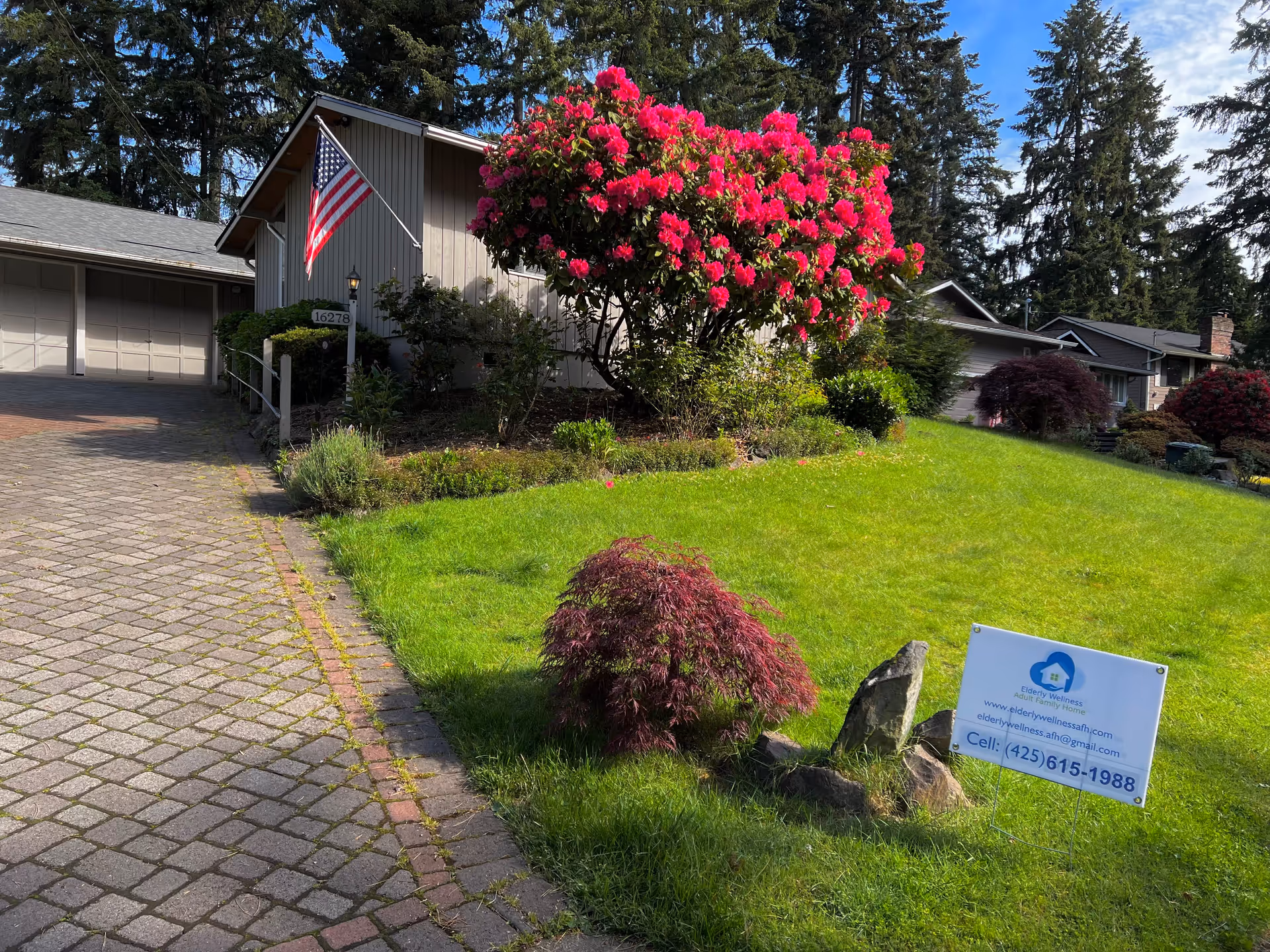 Front yard of a house with a blooming pink rhododendron, an American flag, a paved driveway, and a yard sign for Elderly Wellness Adult Family Home.