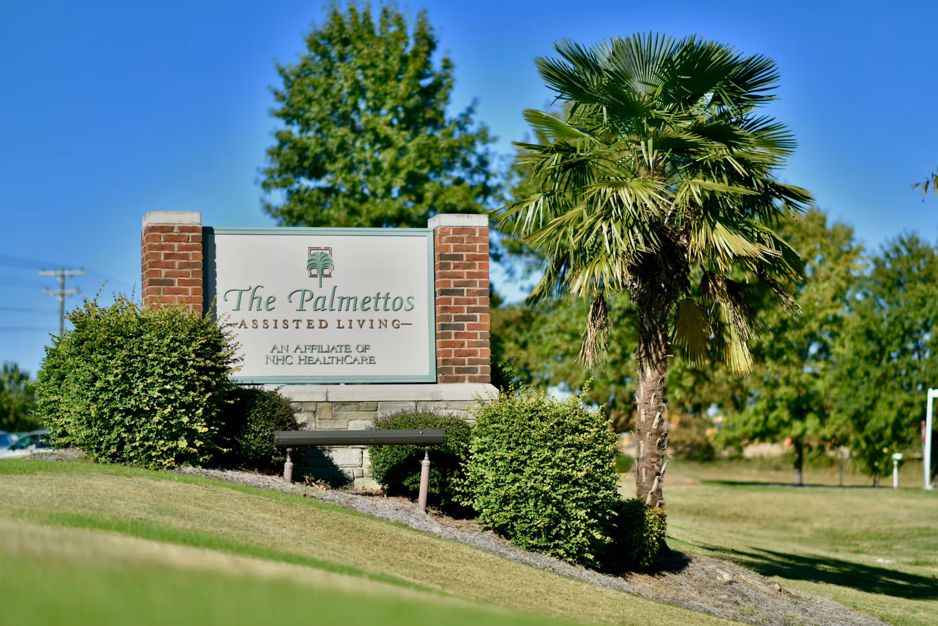 Entrance sign reading "The Palmettos Assisted Living" surrounded by shrubs and a palm tree on a grassy lawn.