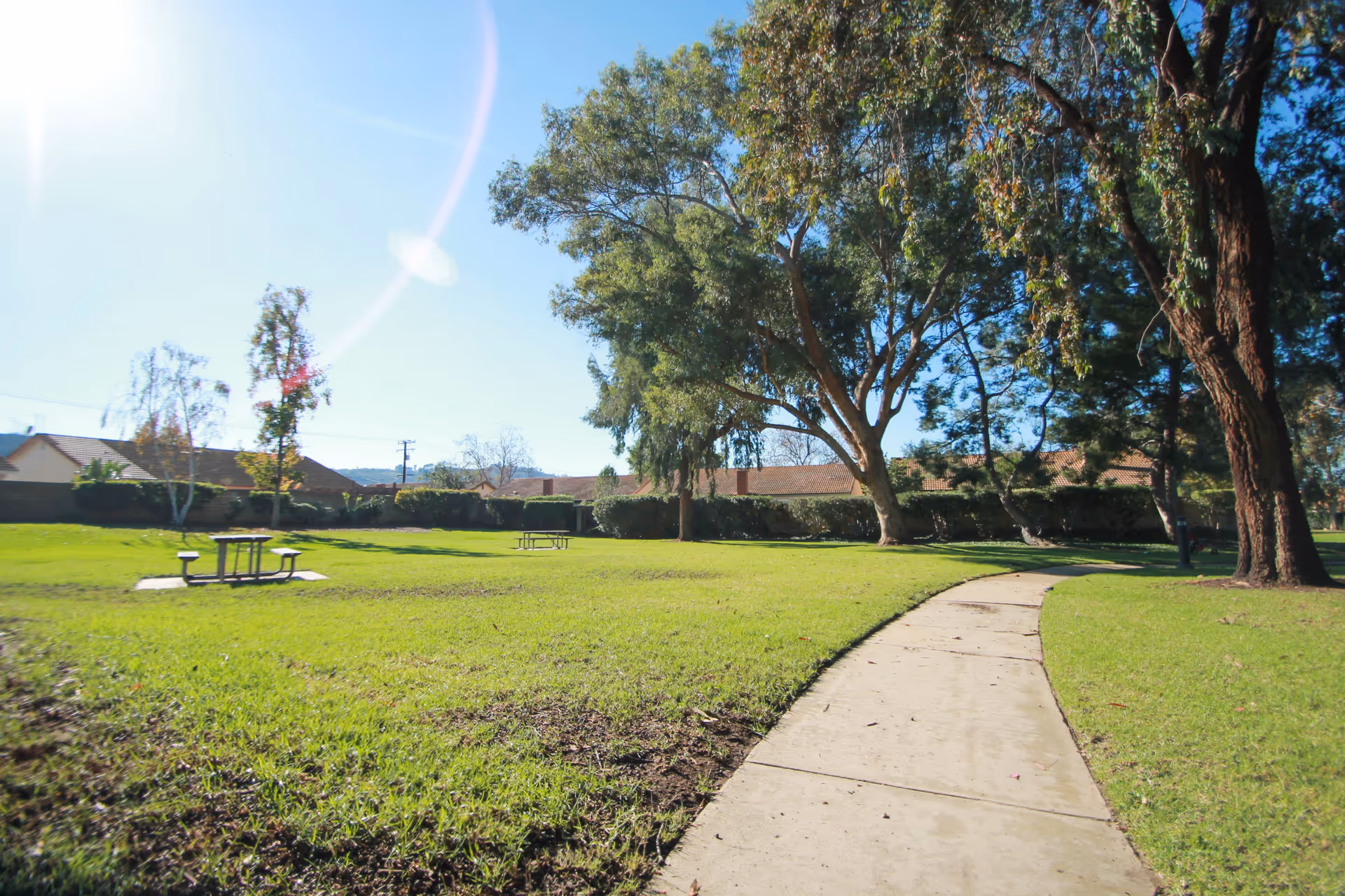 A sunny outdoor park area with a concrete walking path curving through green grass and large trees providing shade. There are picnic tables on the grass and houses visible in the background under a clear blue sky.