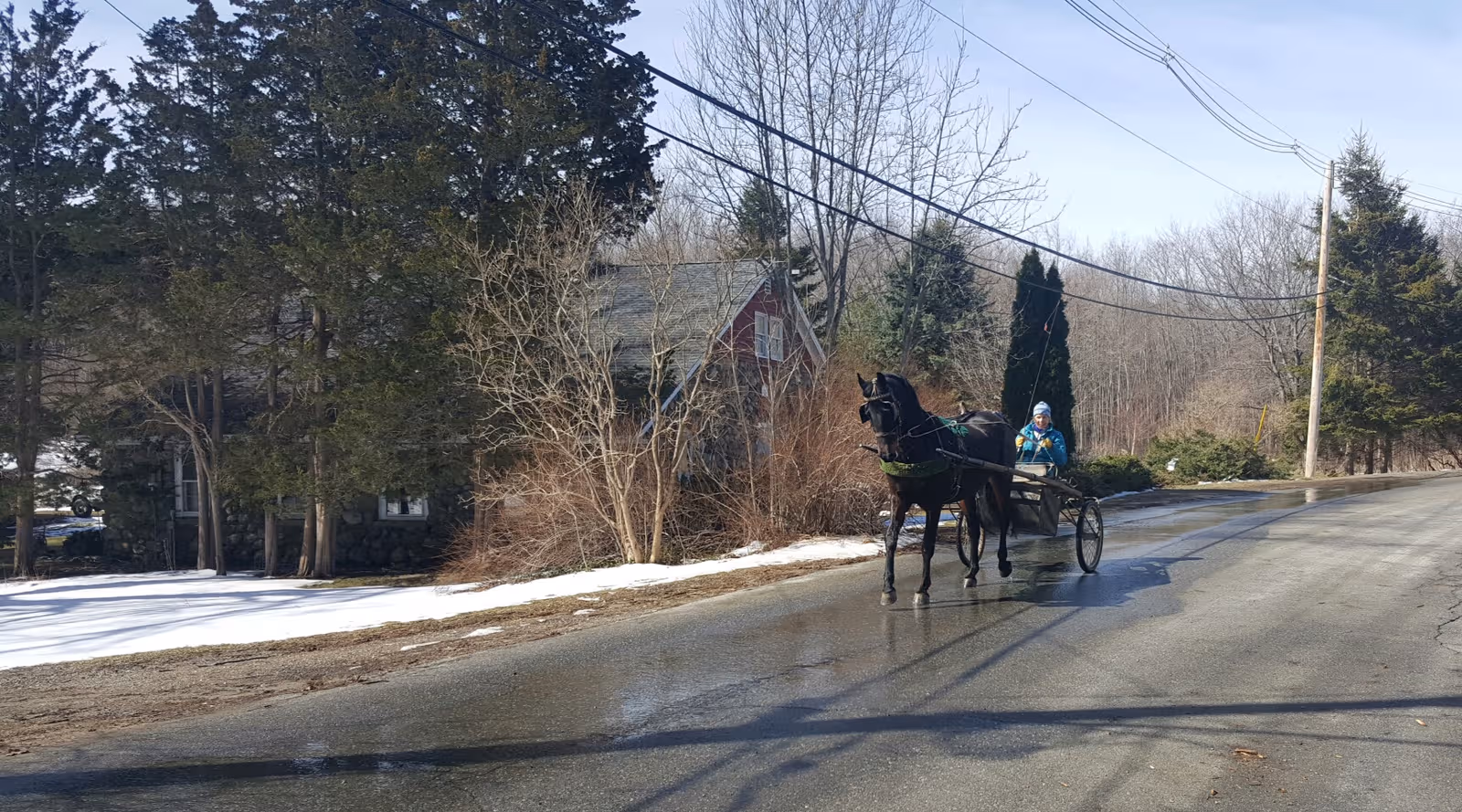 A horse-drawn carriage with a rider on a quiet street beside trees.