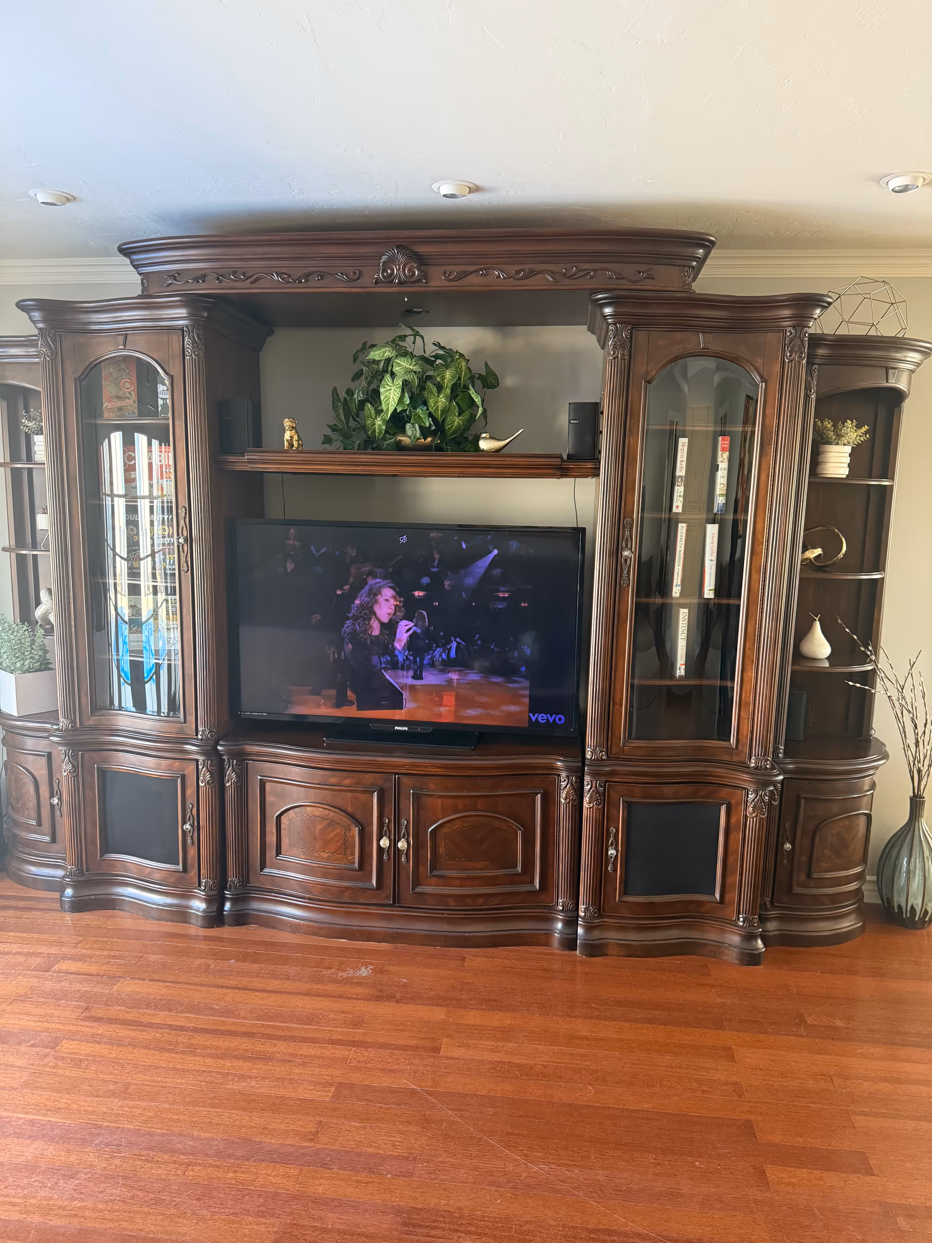 Dark wooden entertainment center with TV, plants, and glass-front cabinets in a living room.