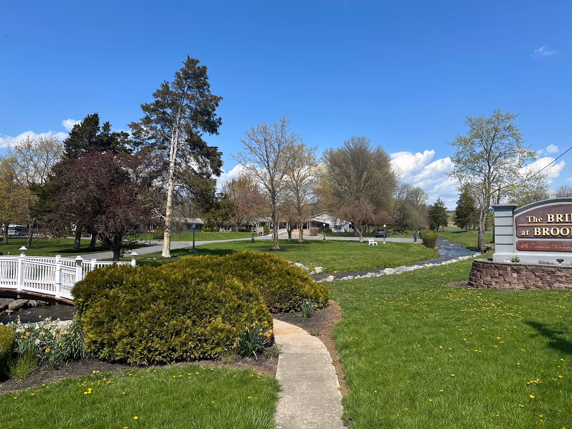 A landscaped outdoor area with a paved walkway, green grass, bushes, and trees under a clear blue sky. A small white bridge crosses a stream on the left side, and a stone sign for The Bridge at Brookline is visible on the right.