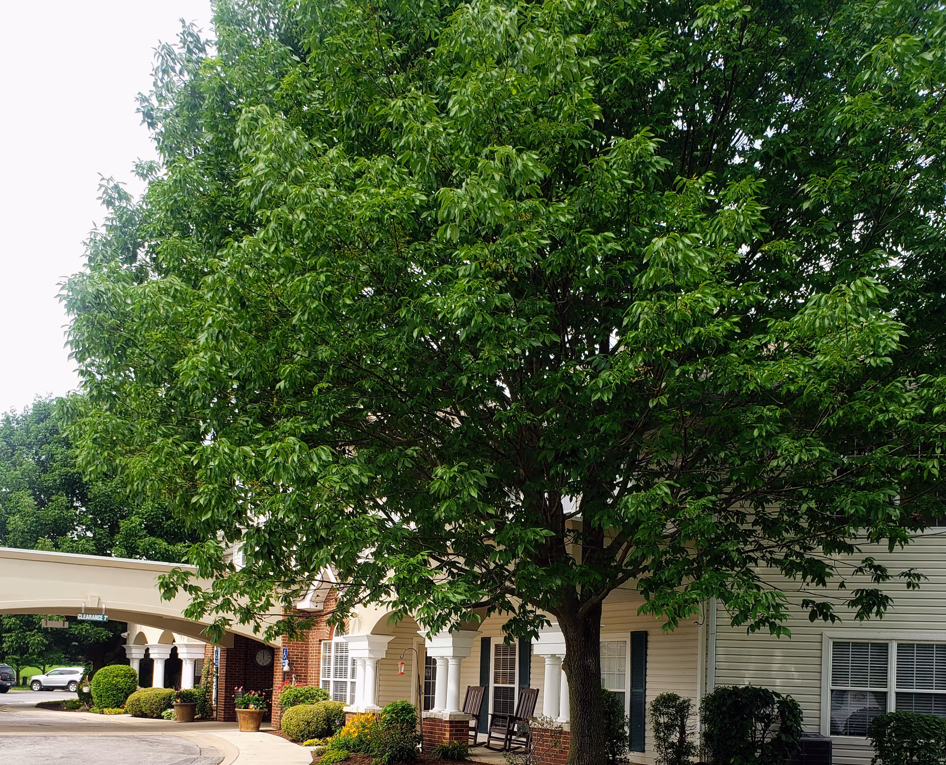 Exterior of The Pointe at Jacksonville featuring a large tree and front porch.