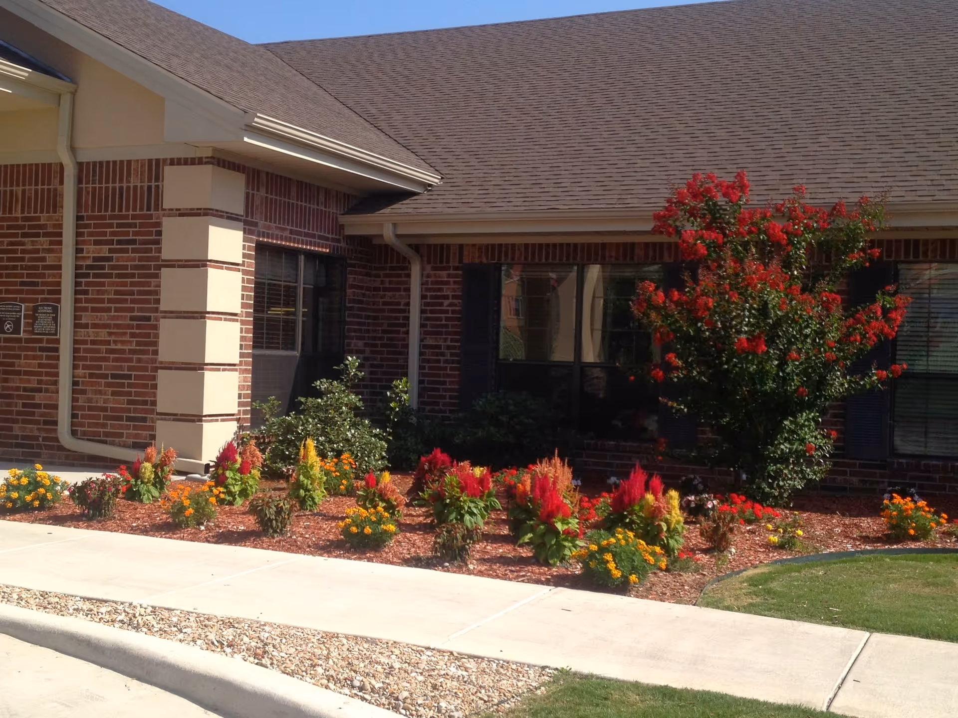 Brick senior living facility with landscaped flower beds and a red flowering tree in front.
