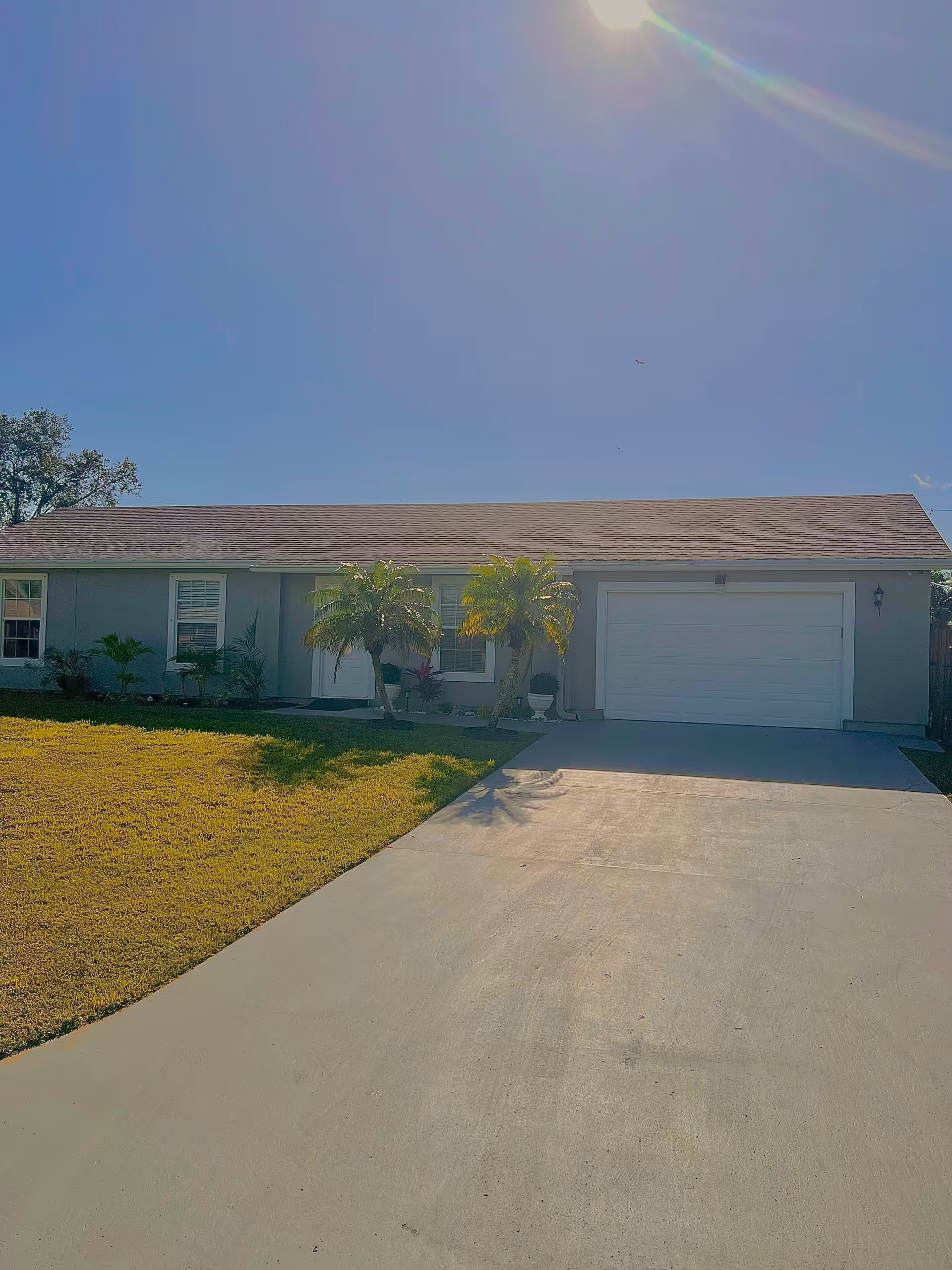 Front exterior of a single-story building with a driveway and palm trees.