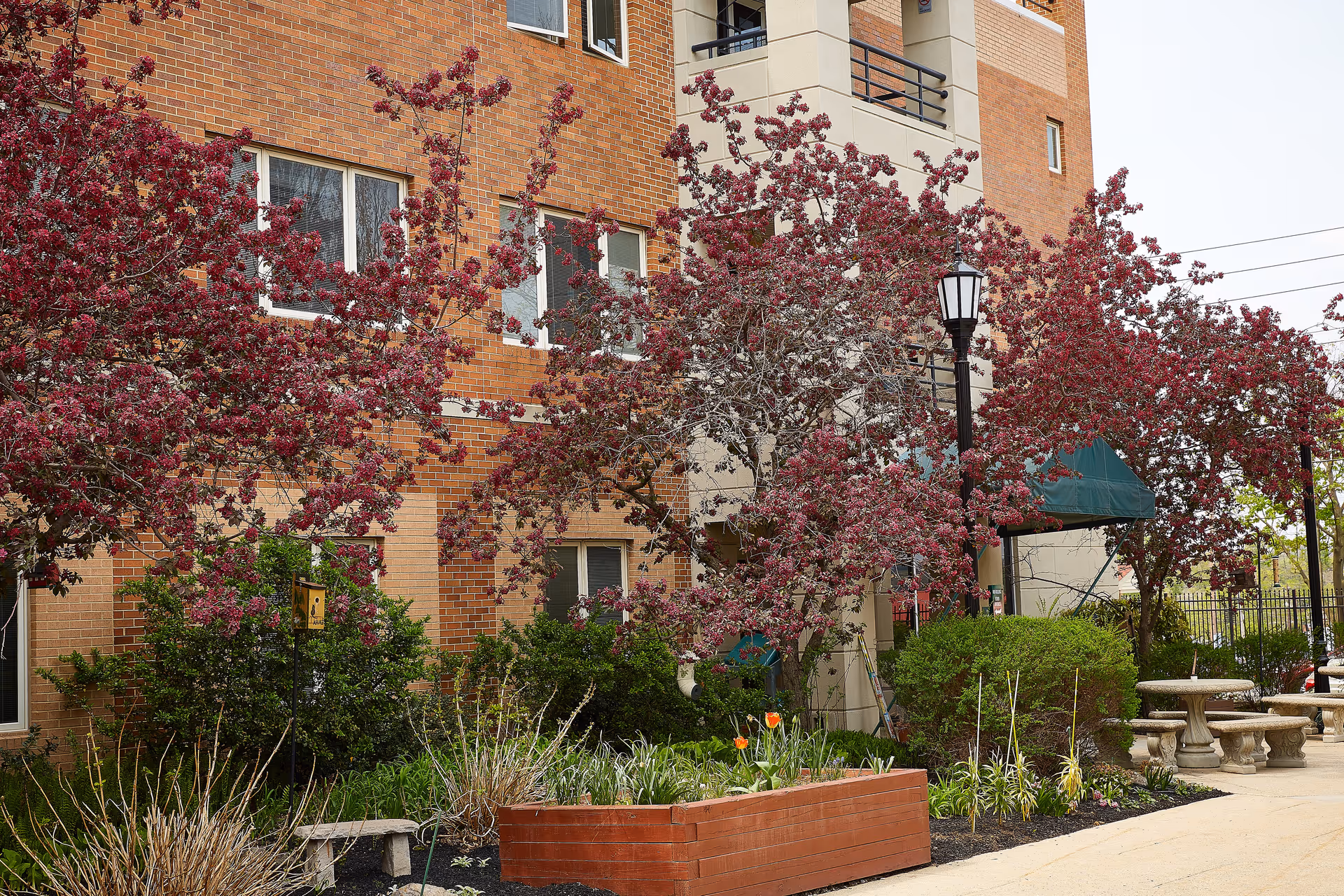Brick senior living building exterior with flowering trees and a landscaped courtyard.