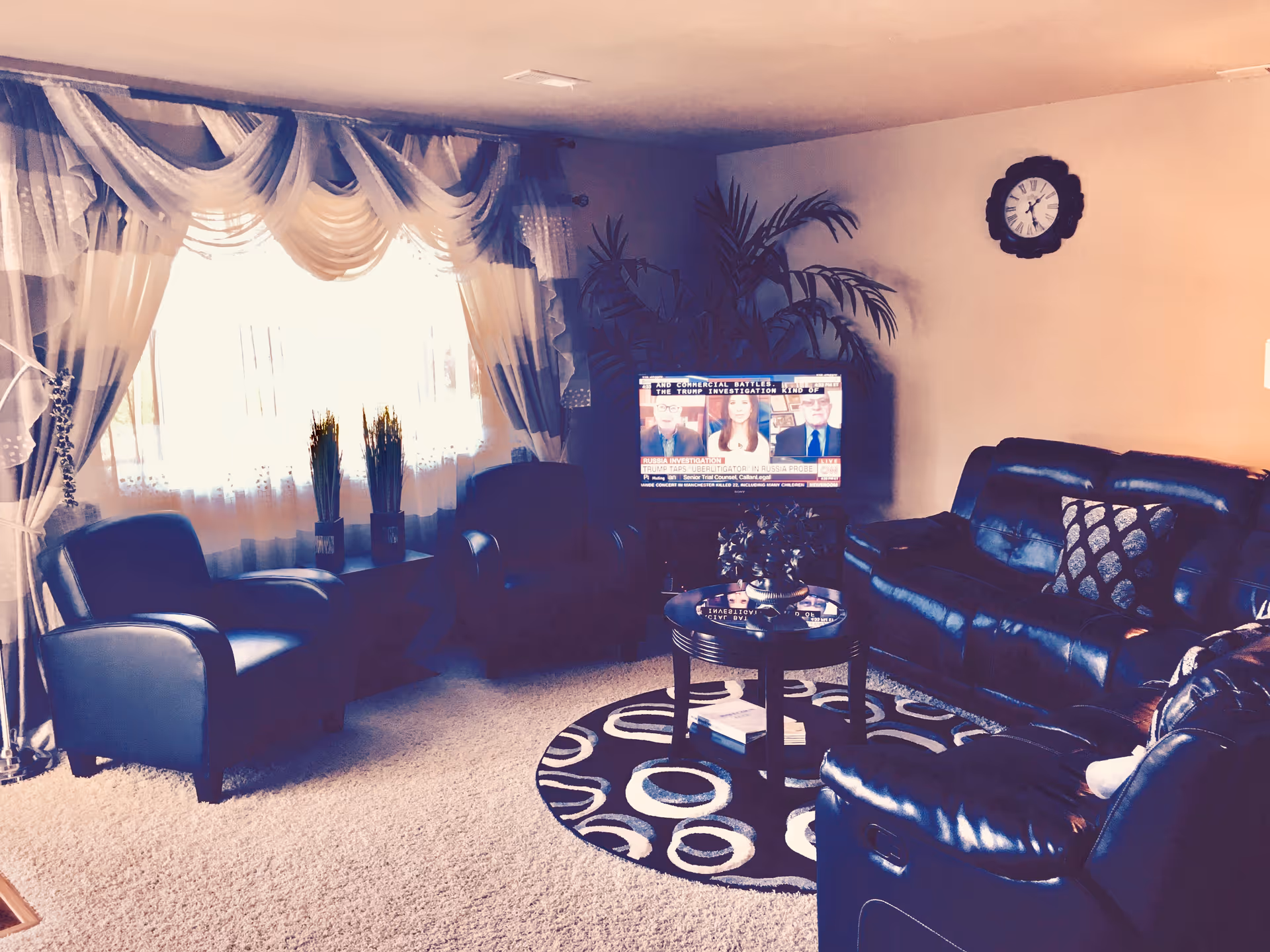 Cozy living room with leather sofas, a coffee table, plants, and a TV.