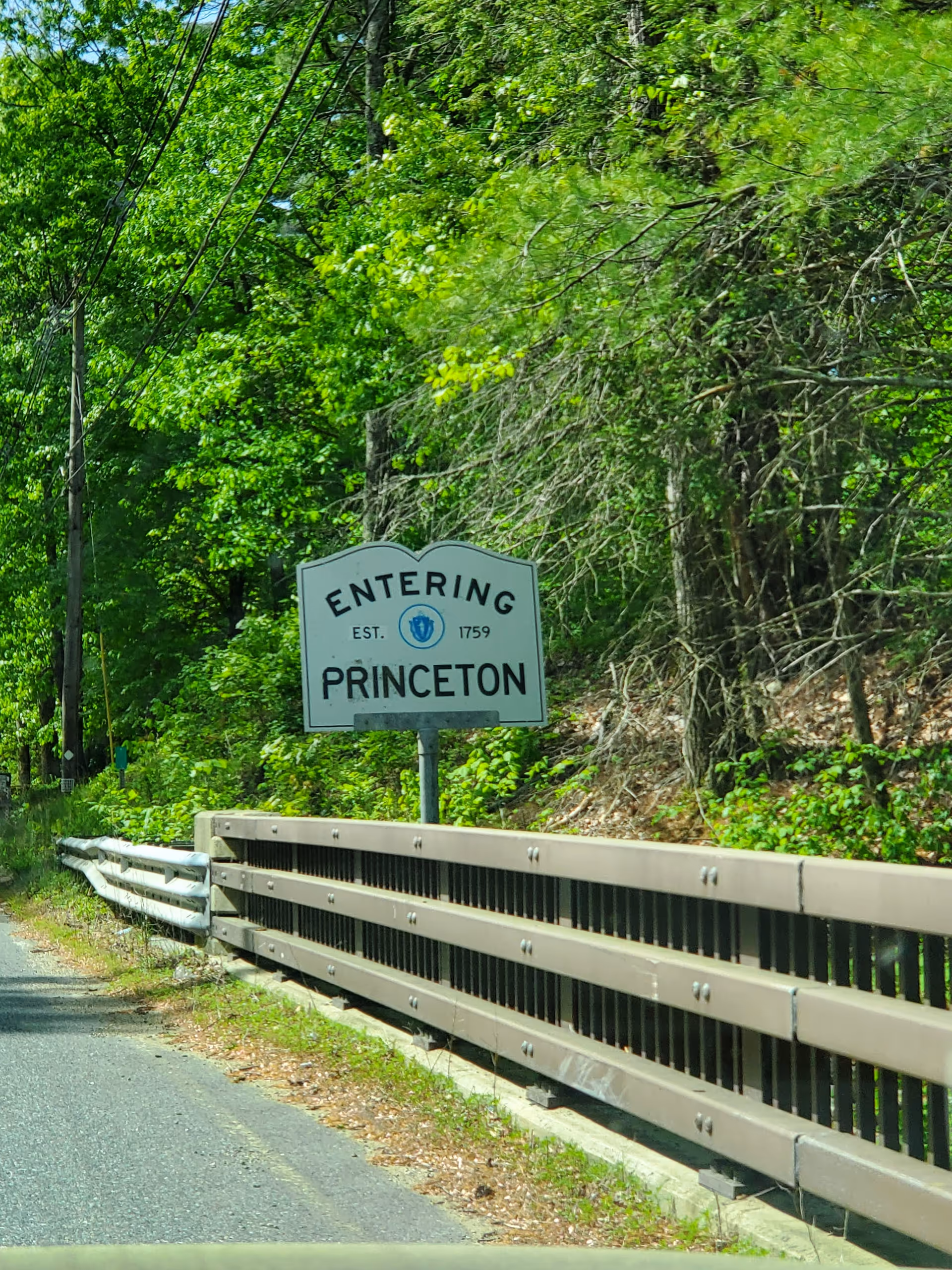 Rural road scene with a guardrail, dense greenery, and an Entering Princeton sign.