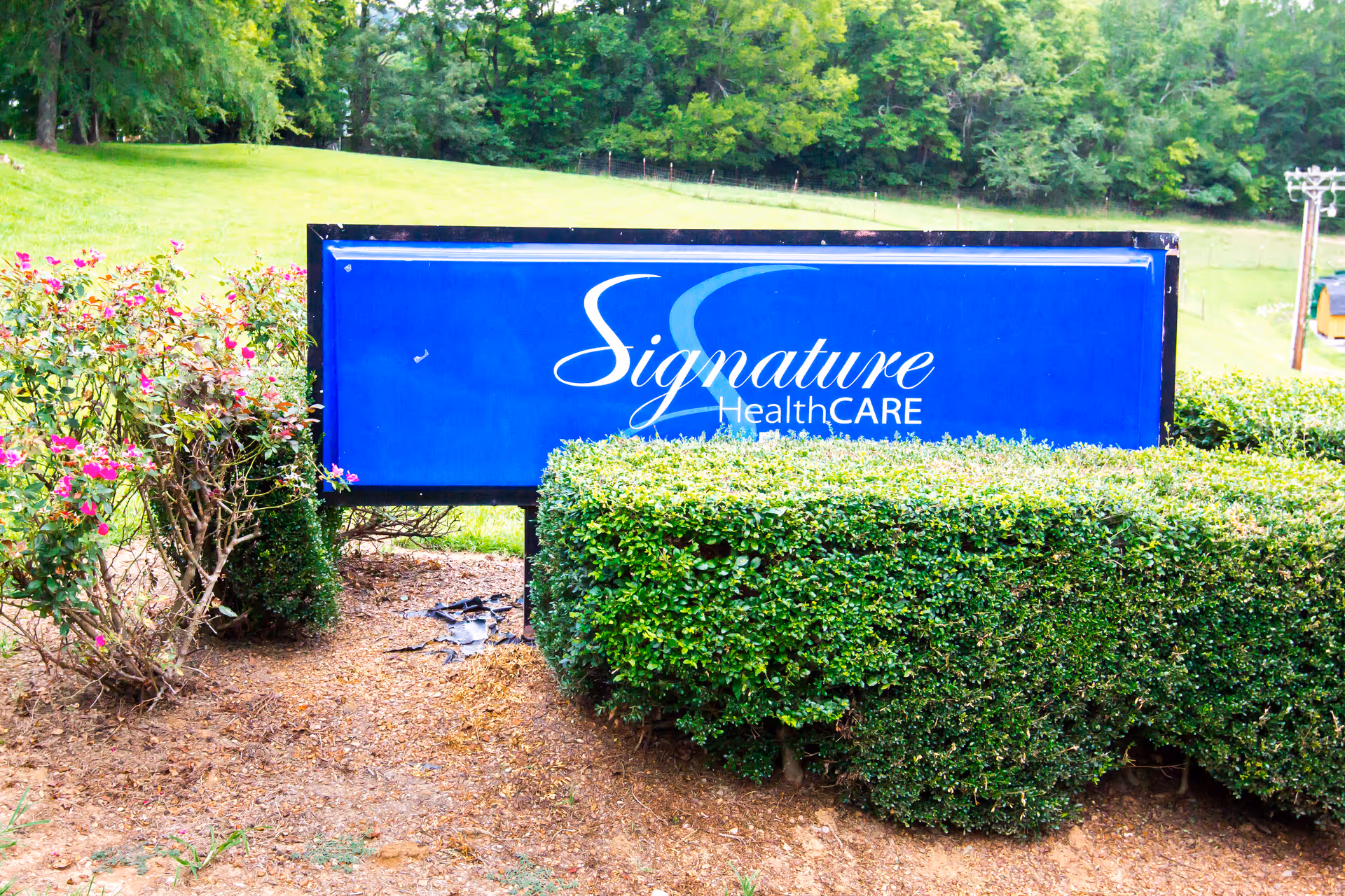 Blue Signature HealthCARE sign surrounded by trimmed hedges in a grassy outdoor area.