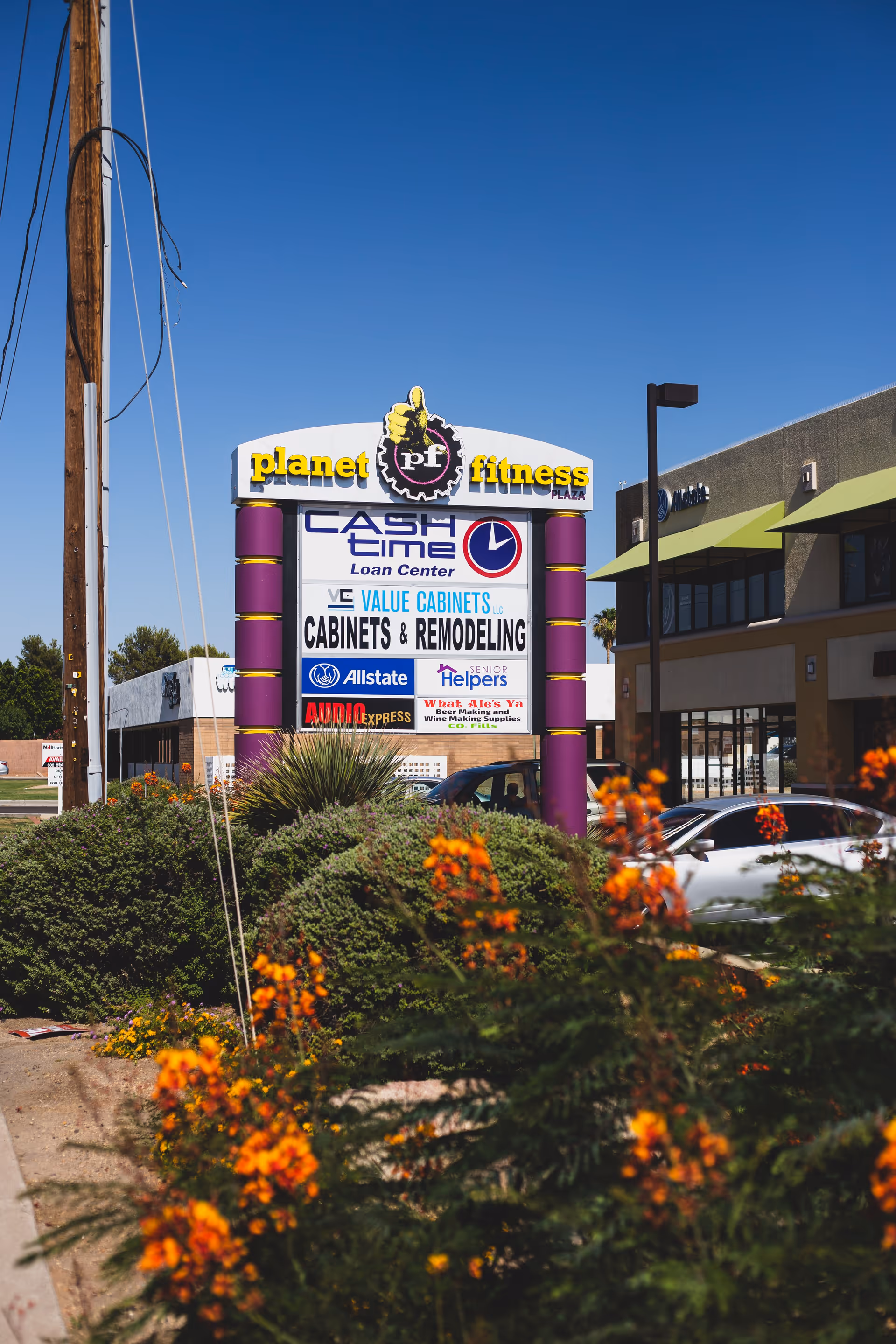 A commercial strip exterior with a tall Planet Fitness sign and blooming shrubs in foreground.