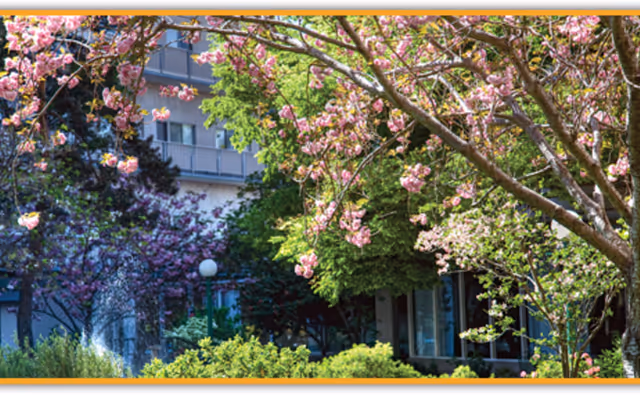 Exterior view of Piedmont Gardens with blooming pink cherry trees and lush landscaping.