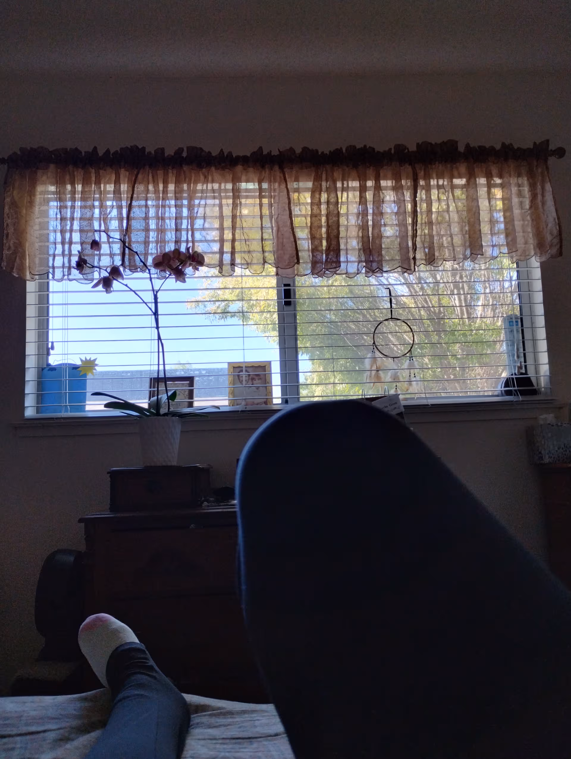Leg visible from bed in a dim bedroom with window, blinds, and decorative curtains.