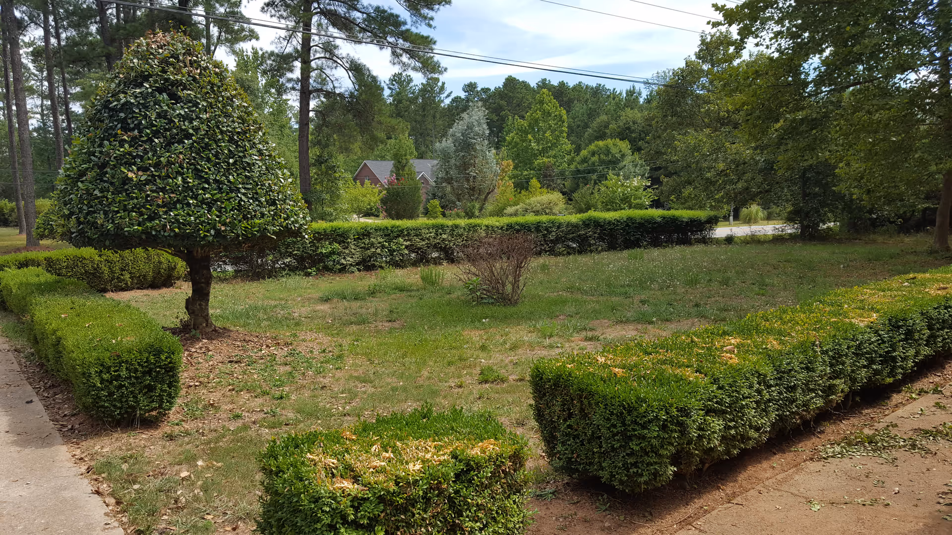 A neatly trimmed garden area with various shaped bushes and trees, surrounded by a concrete walkway. In the background, there are tall pine trees and a house partially visible through the greenery under a partly cloudy sky.