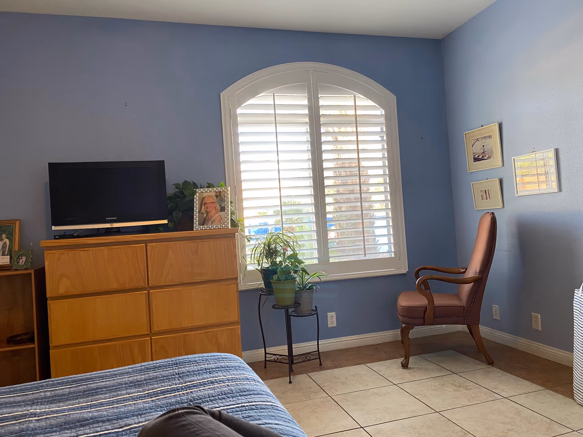 Blue bedroom with dresser, TV, window with shutters, plant, and brown armchair.