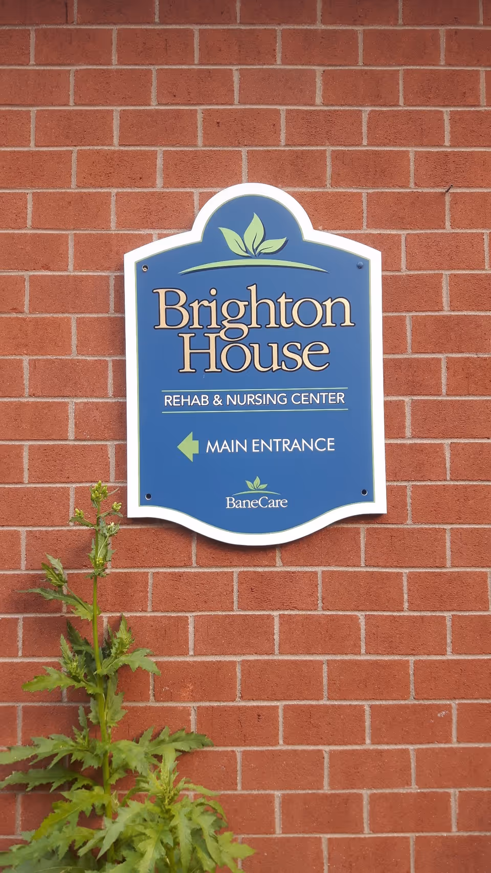 Blue Brighton House sign on red brick wall, indicating main entrance.