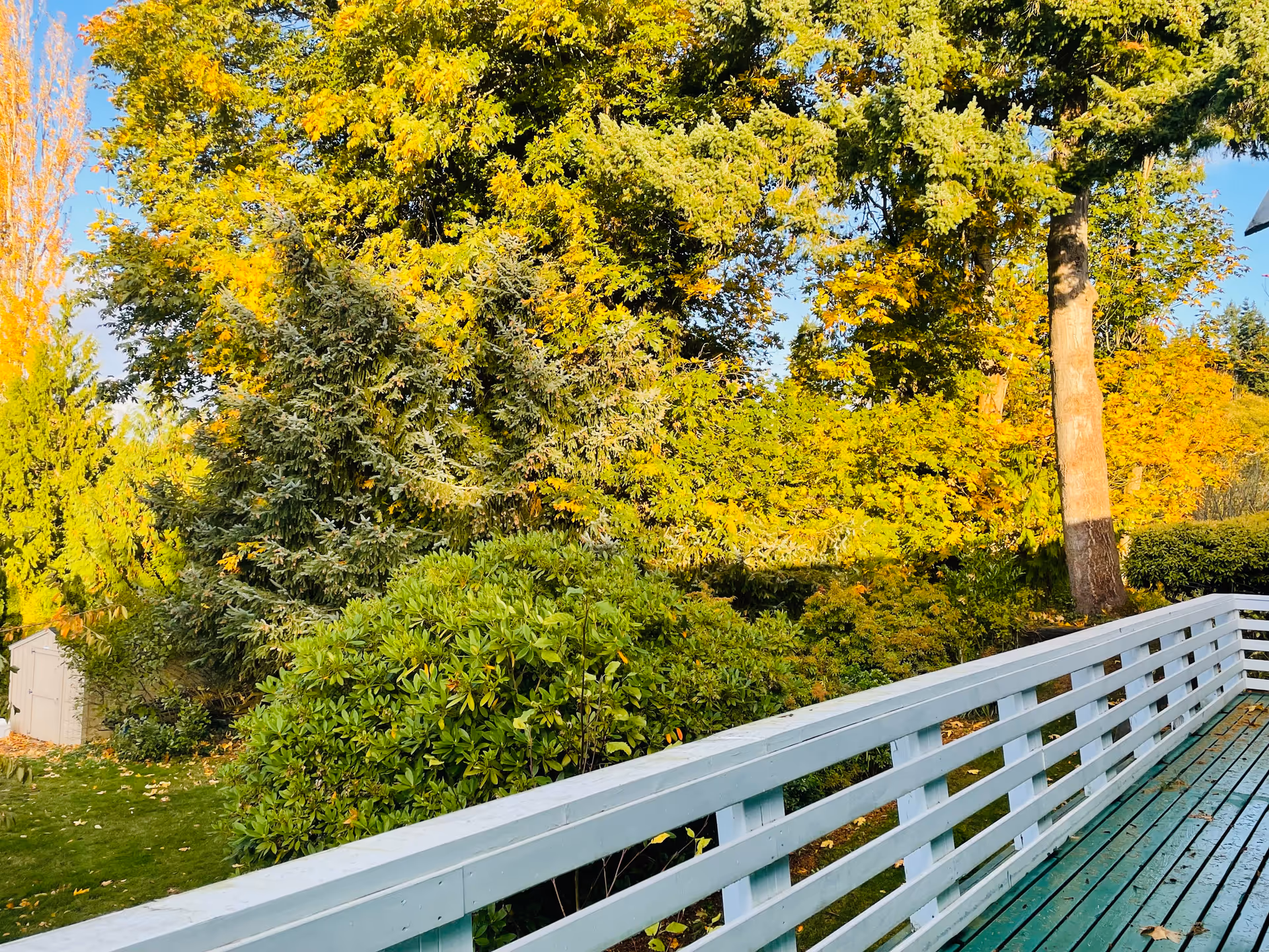 Outdoor wooden deck with white railing overlooks green and yellow autumn foliage.