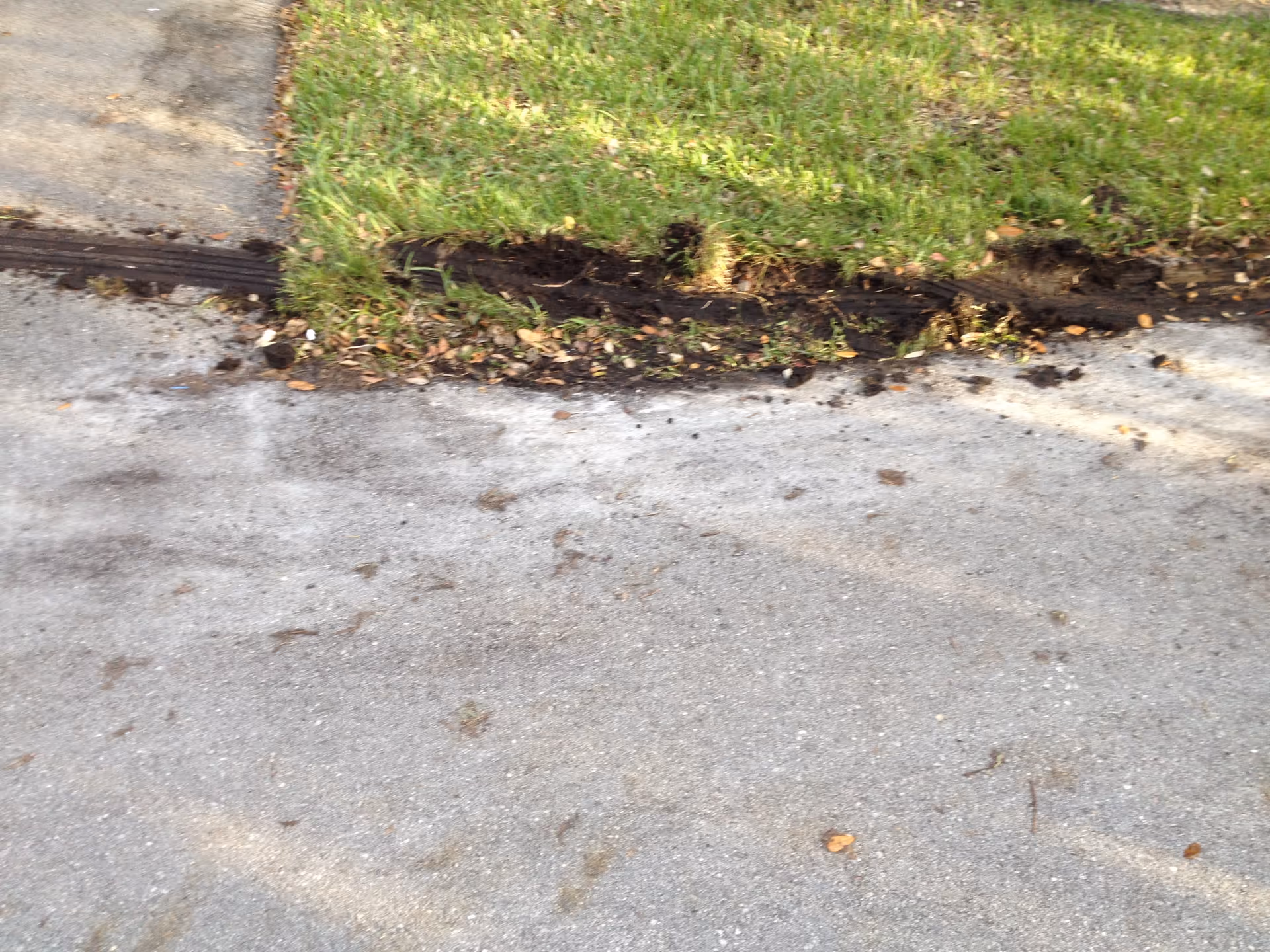 Grassy curb edge with exposed soil and worn asphalt at a sidewalk.