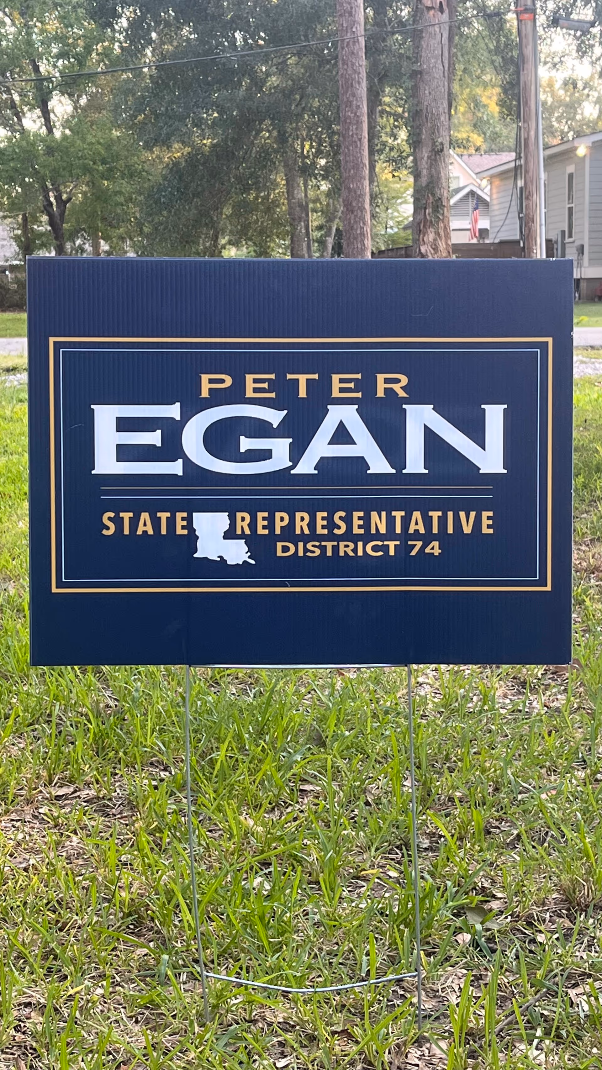 Blue Peter Egan campaign sign on a grassy yard with trees and house