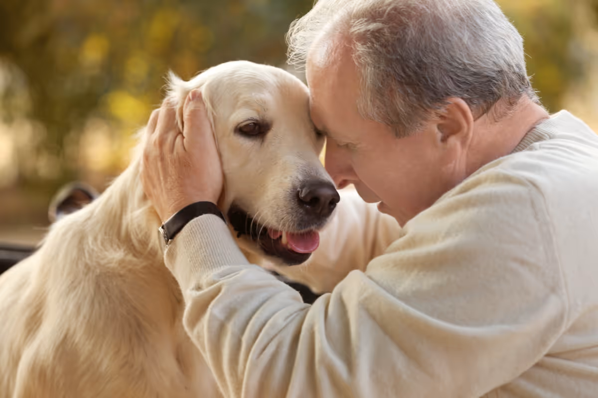 An elderly man in a light sweater holds a golden retriever outdoors, foreheads touching.