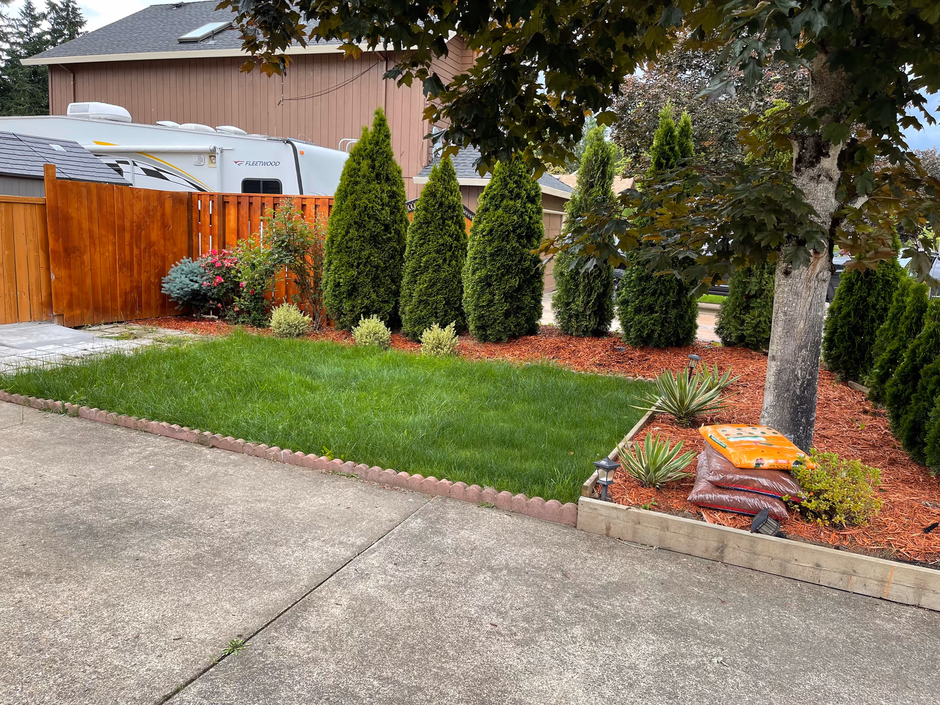 Exterior yard of Unity Adult Foster Care featuring evergreen shrubs, mulch beds, a tree, and driveway.