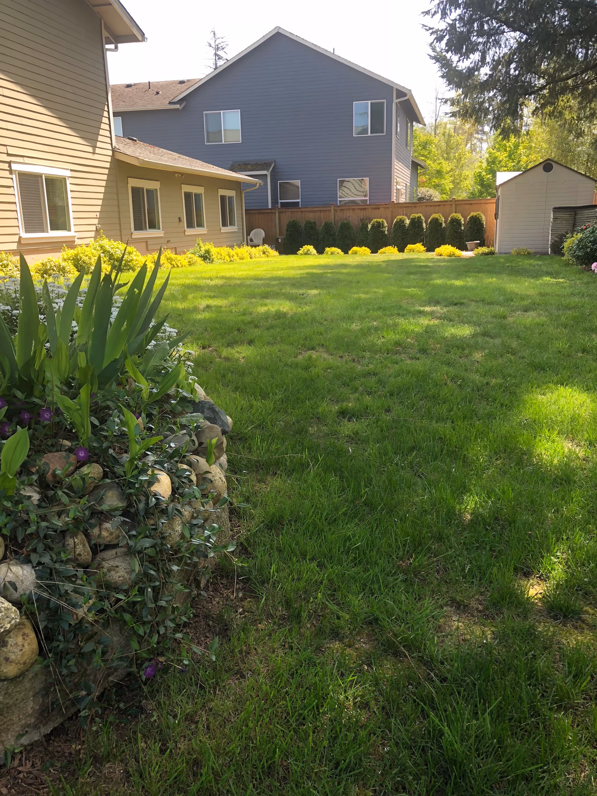 Backyard of a senior living home with a green lawn, garden bed, and neighboring houses.