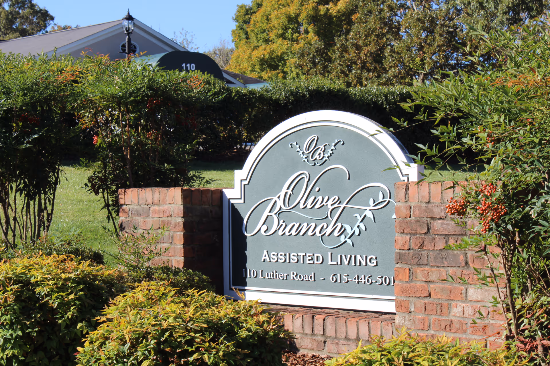 A brick sign for Olive Branch Assisted Living surrounded by green bushes and plants, with a building and trees visible in the background under a clear blue sky.