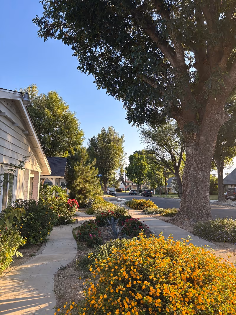Wide exterior view of a senior living campus with a tree-lined sidewalk and colorful flowers.