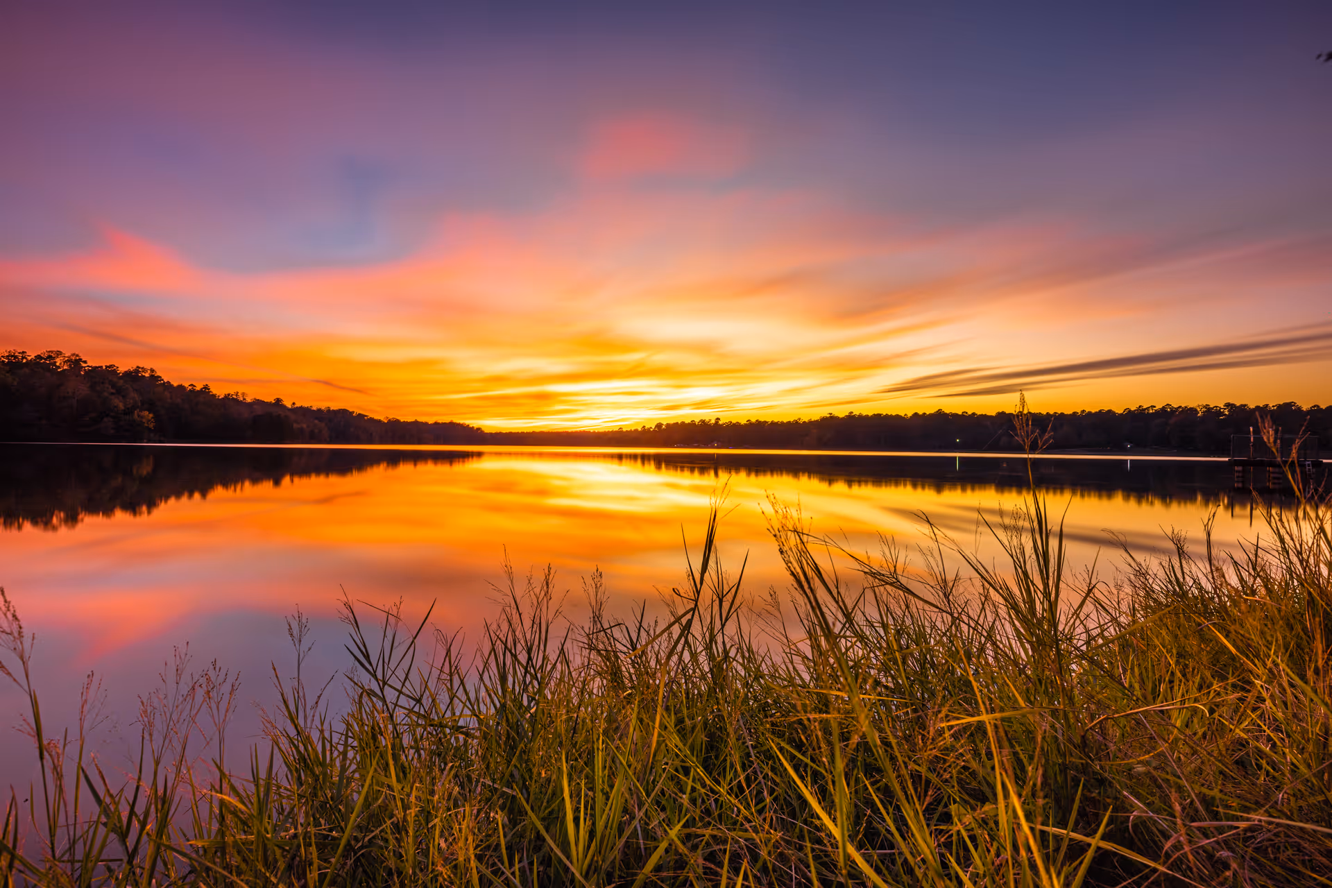 Vibrant sunset over a calm lake with tall grasses along the shoreline.