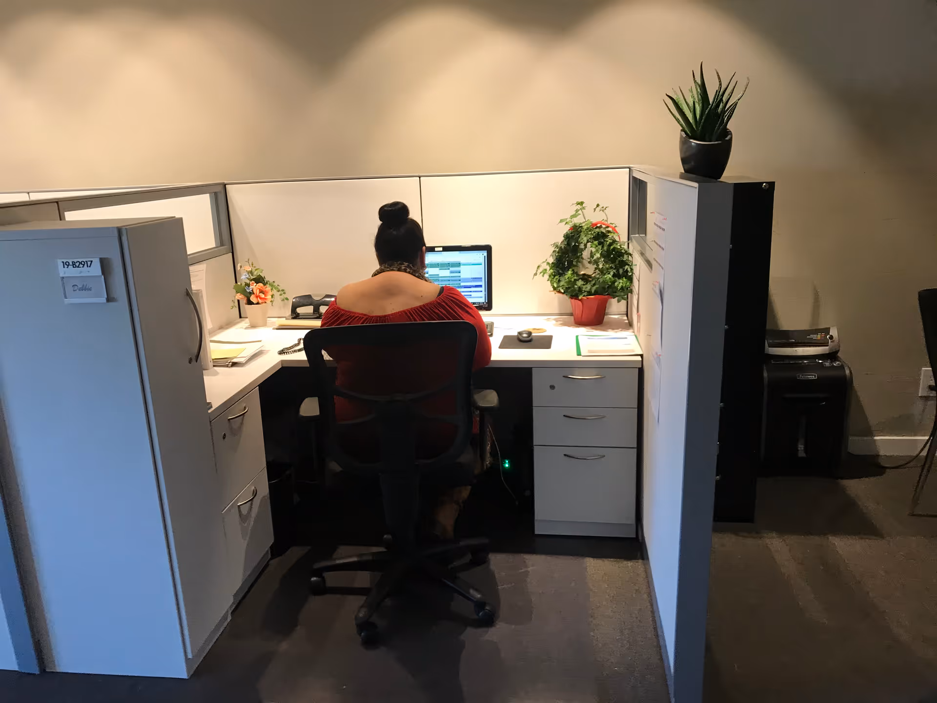 Caregiver seated at a cubicle desk with monitor and plants in a modern office.
